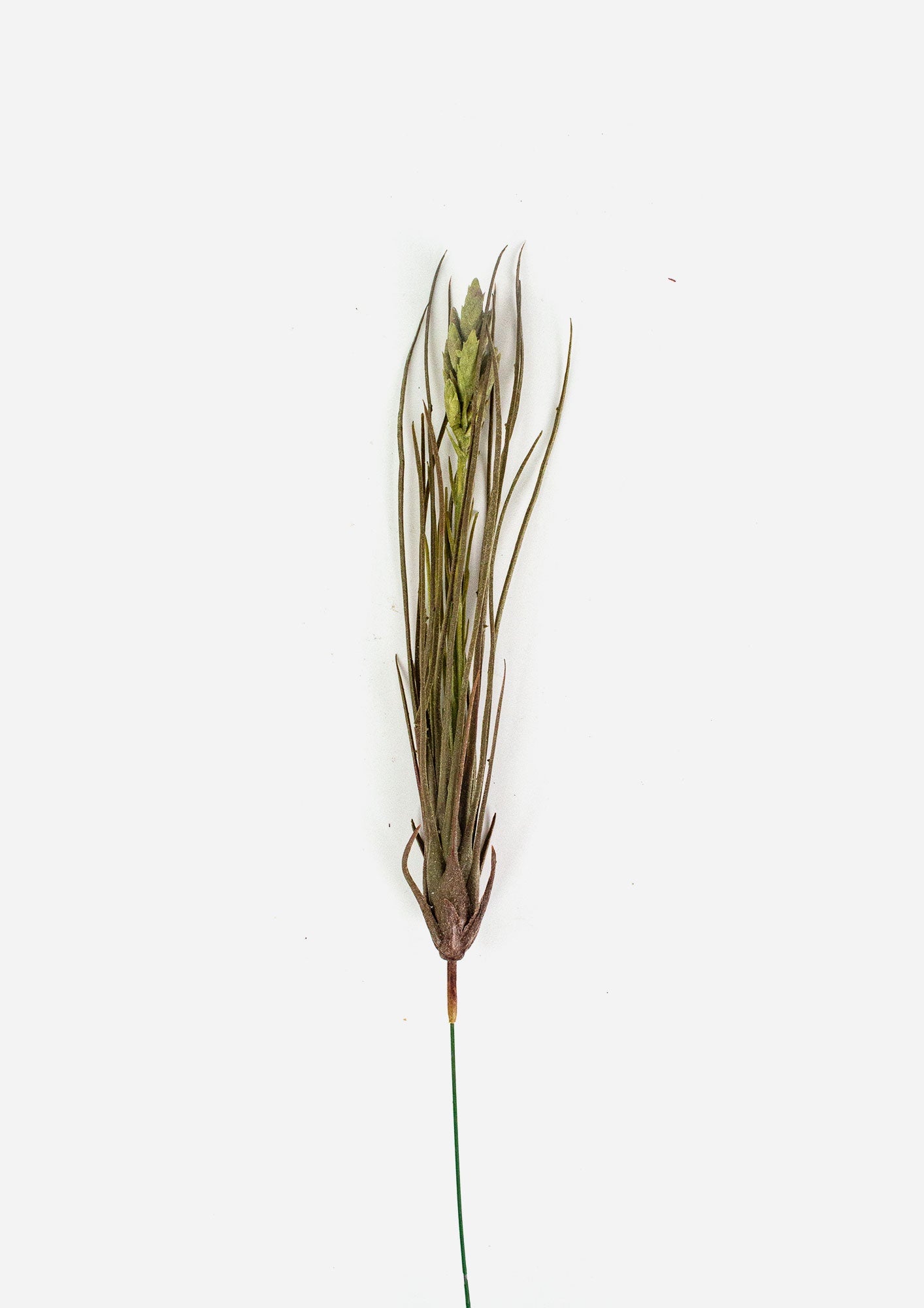 Air Plant Pick