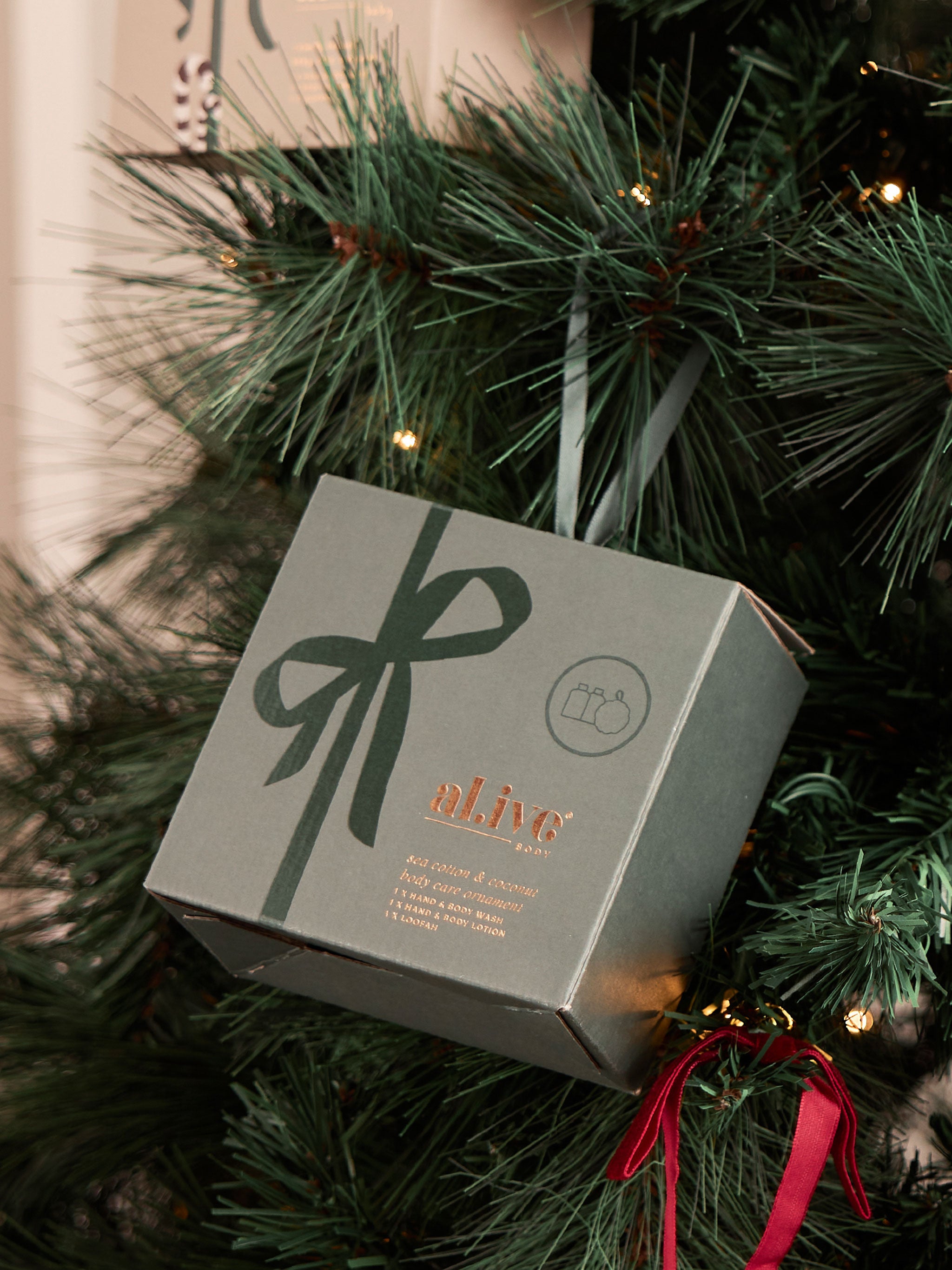 Alive Body Care Ornament