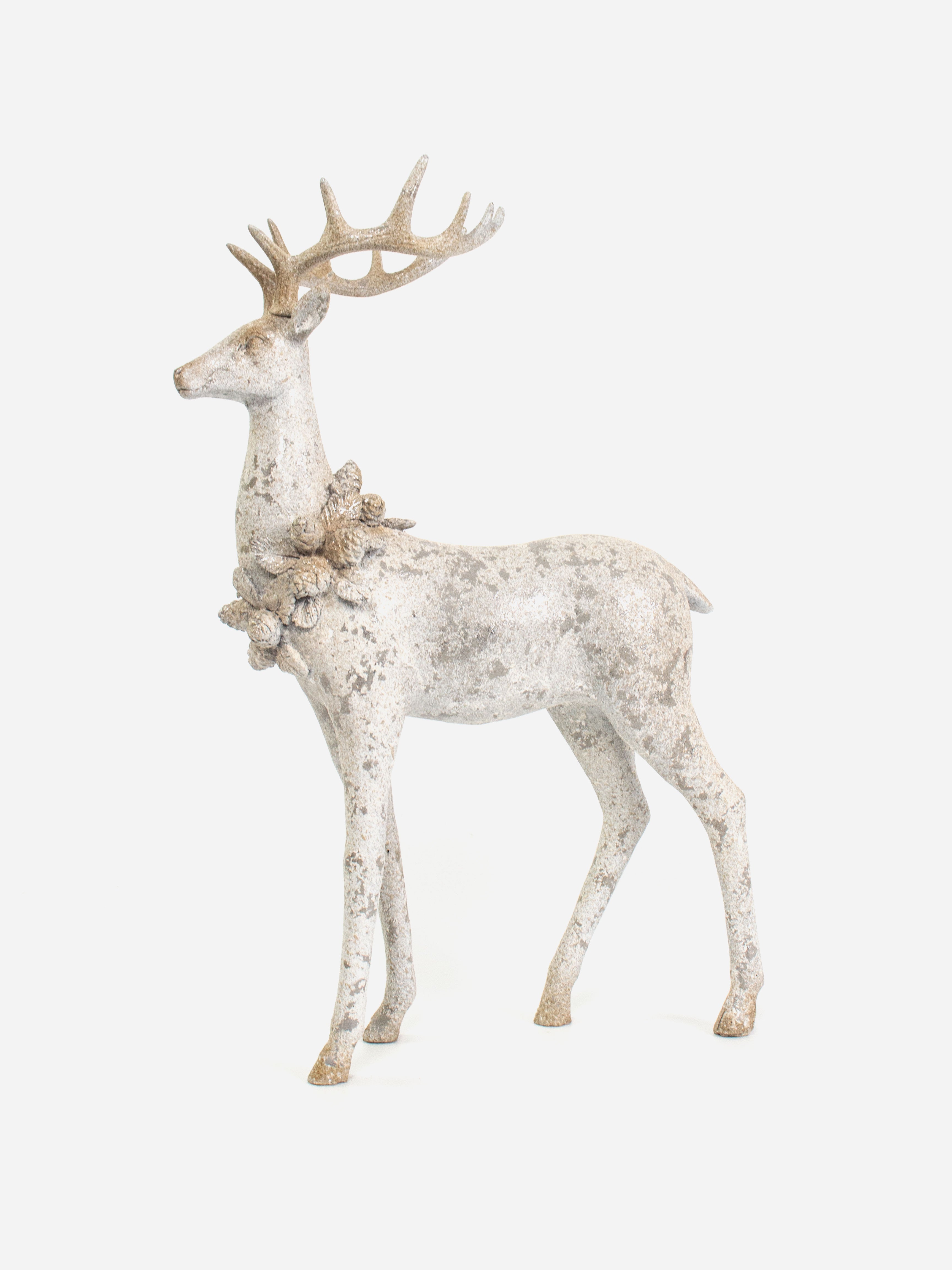 Aurora Stag