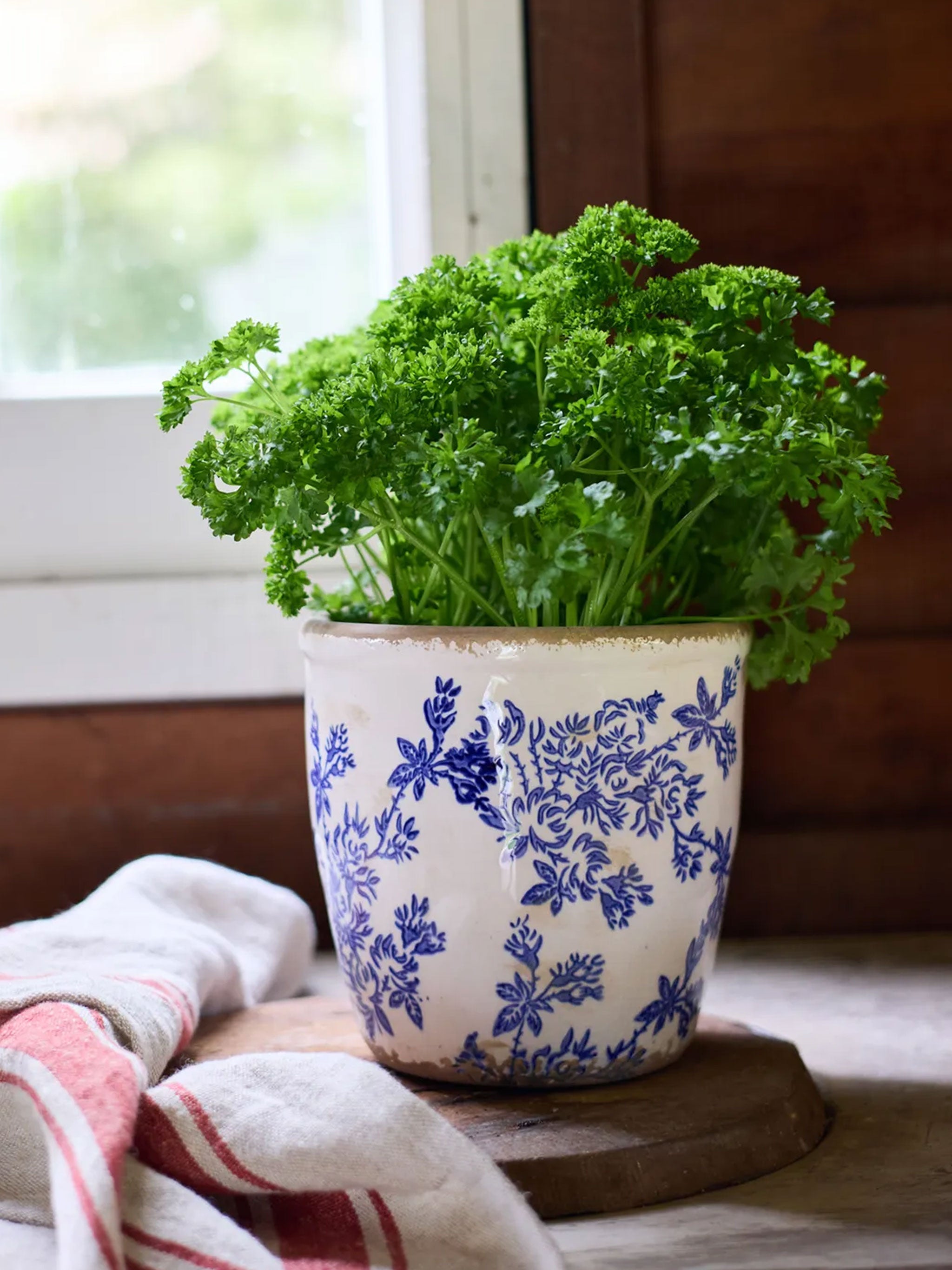 Blue Floral Herb Pot
