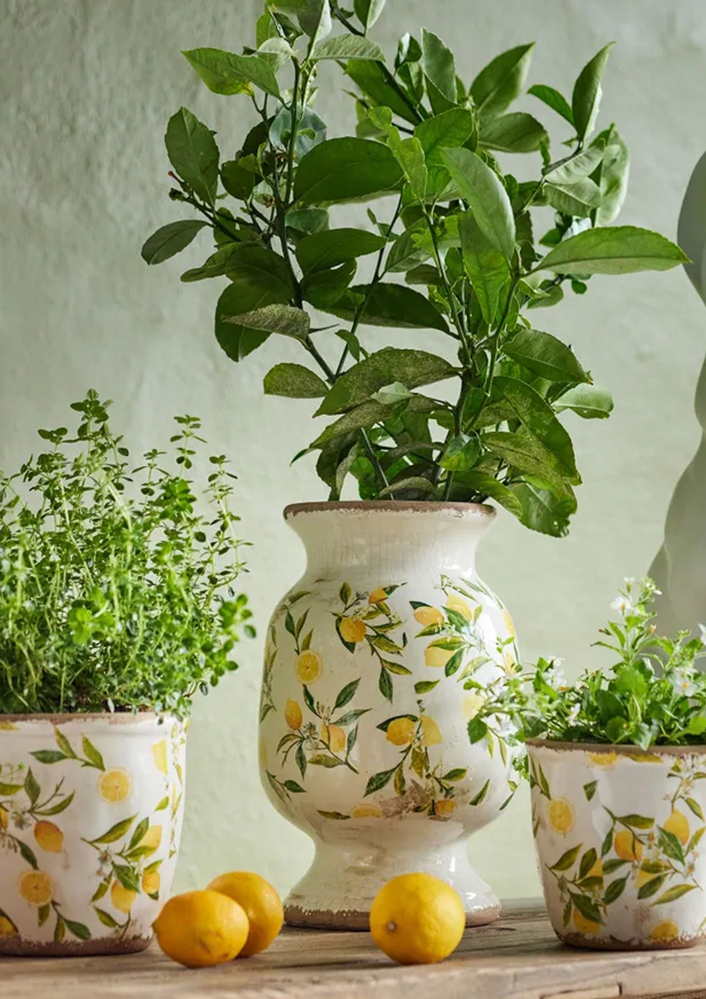 Botanical Lemon Urn