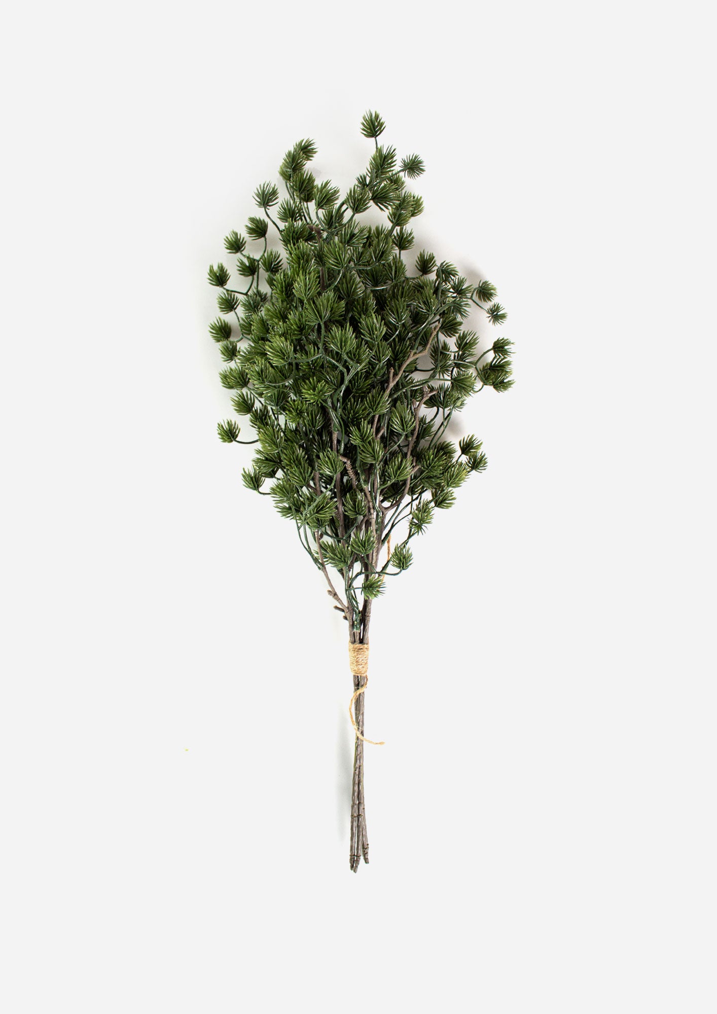 Clustered Pine Bundle