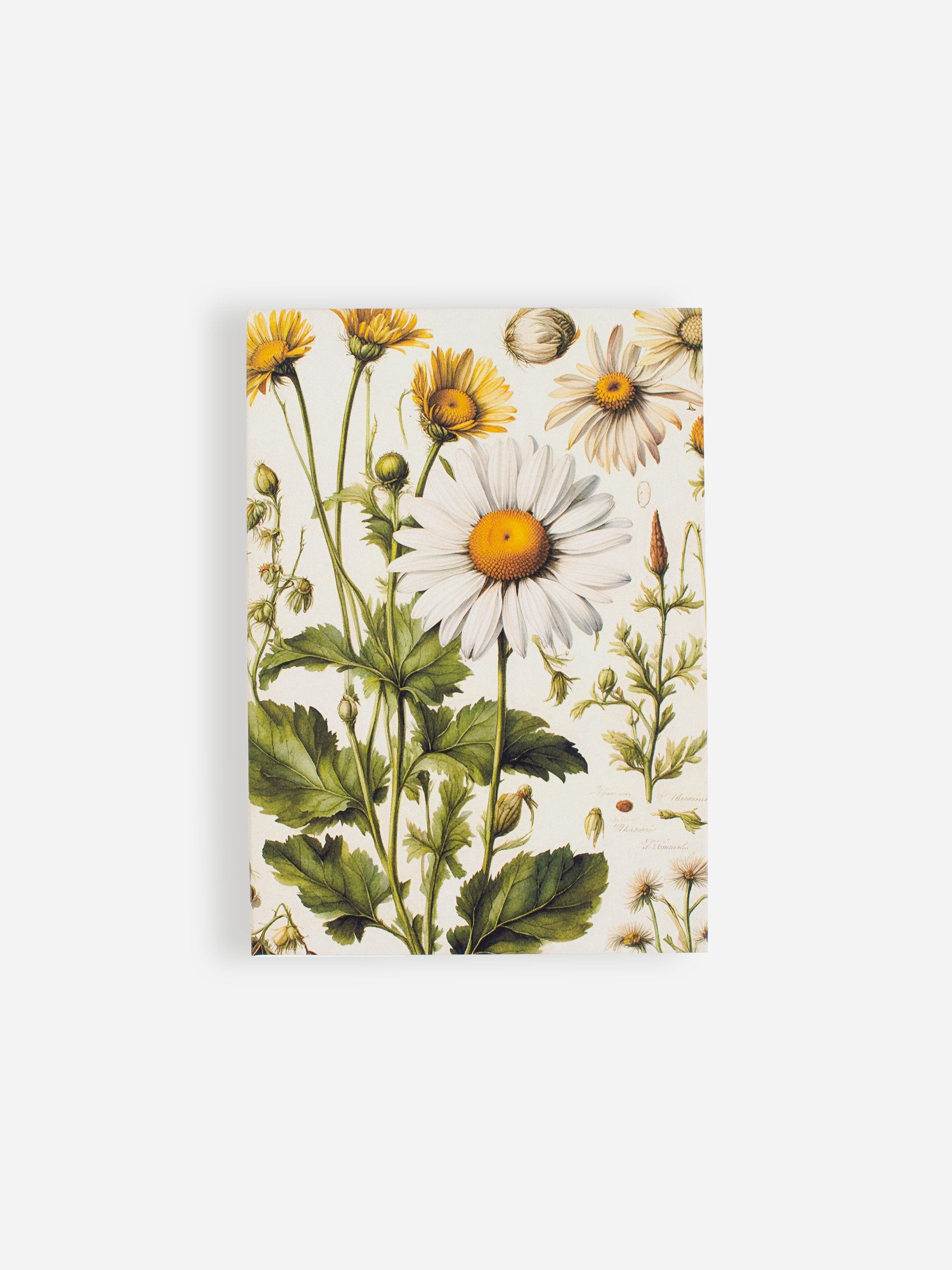Daisies Jotter Pad