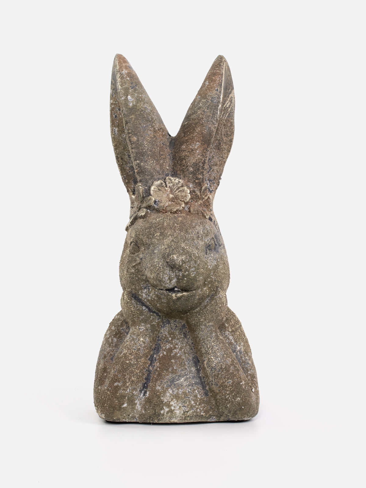 Daisy Rabbit
