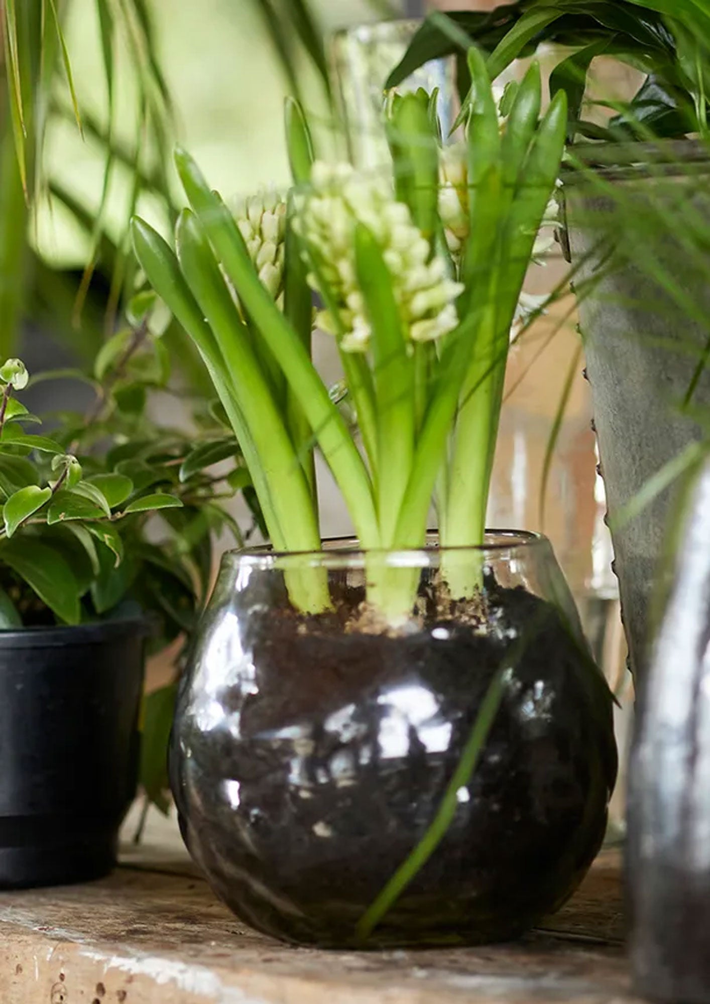 Dappled Clear Bowl Vase