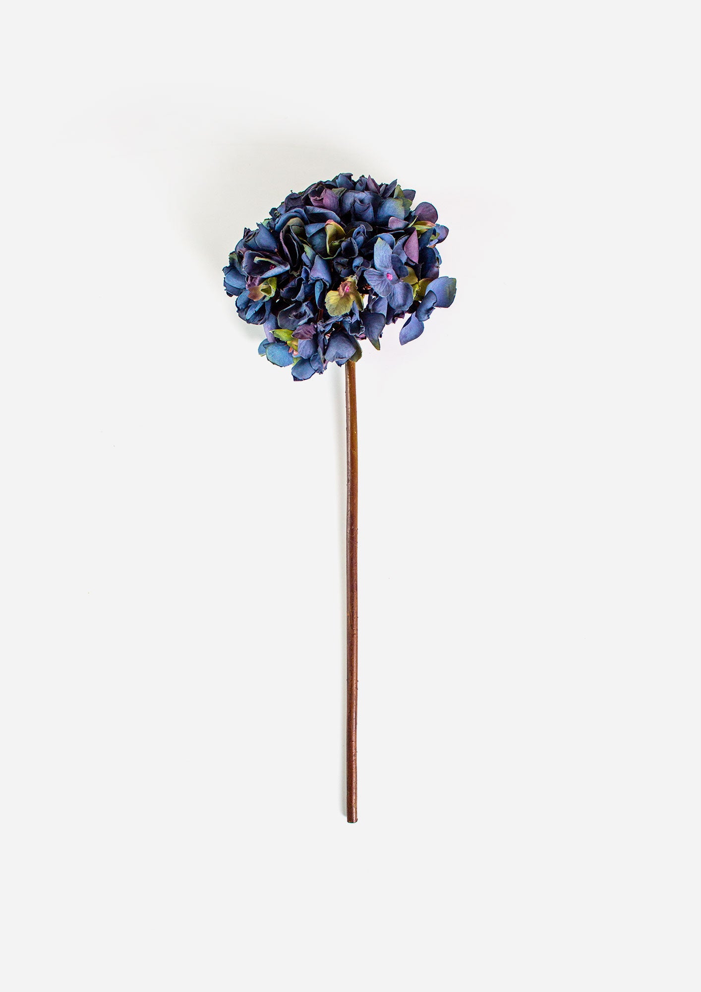 Dried Look Hydrangea