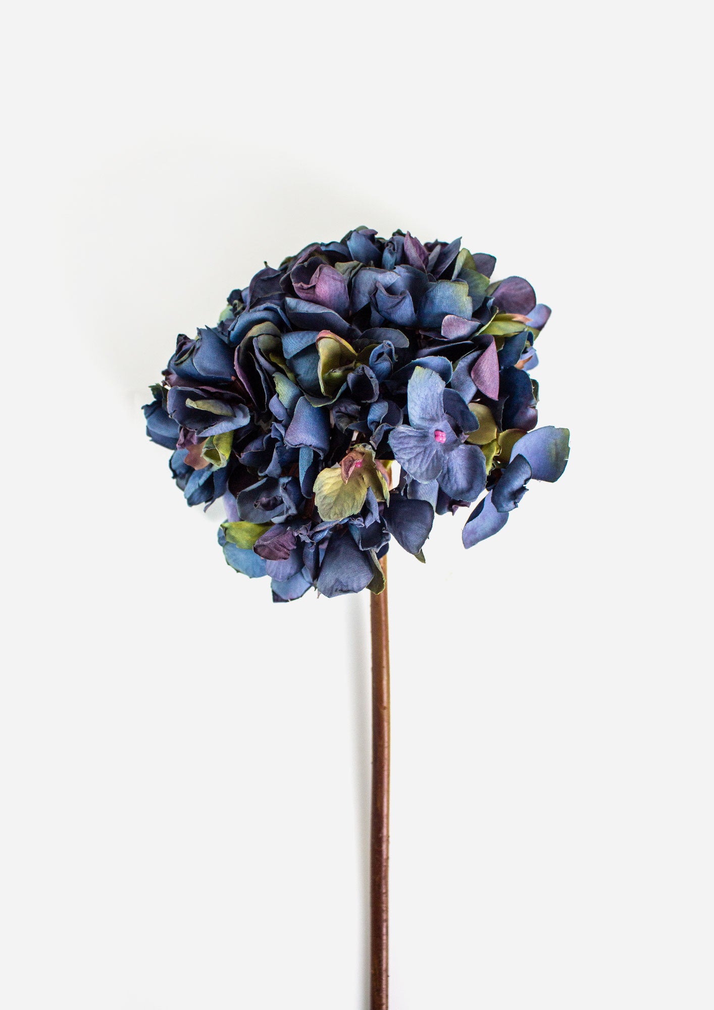 Dried Look Hydrangea