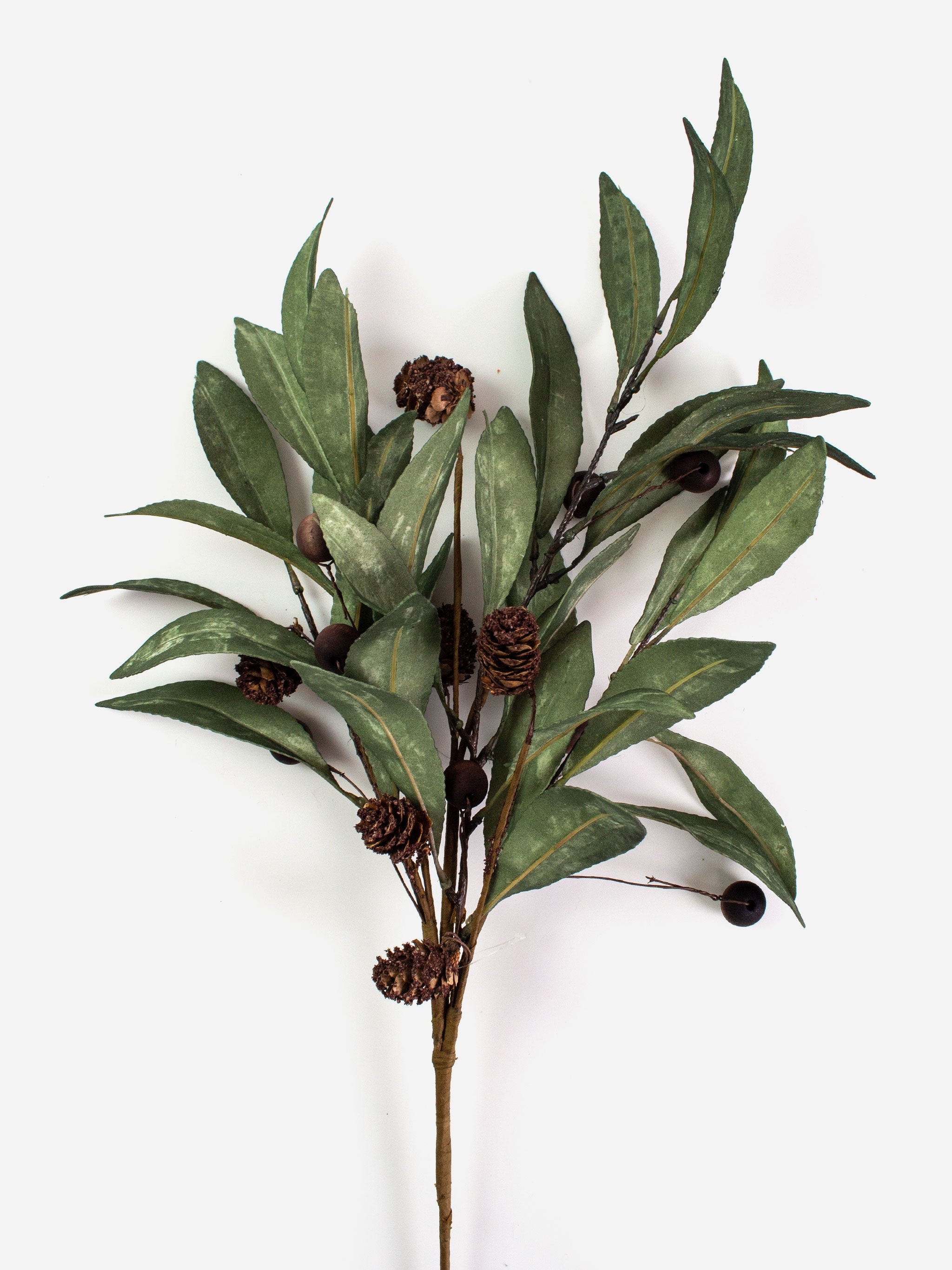 Eucalyptus & Brown Berry Wood Branch