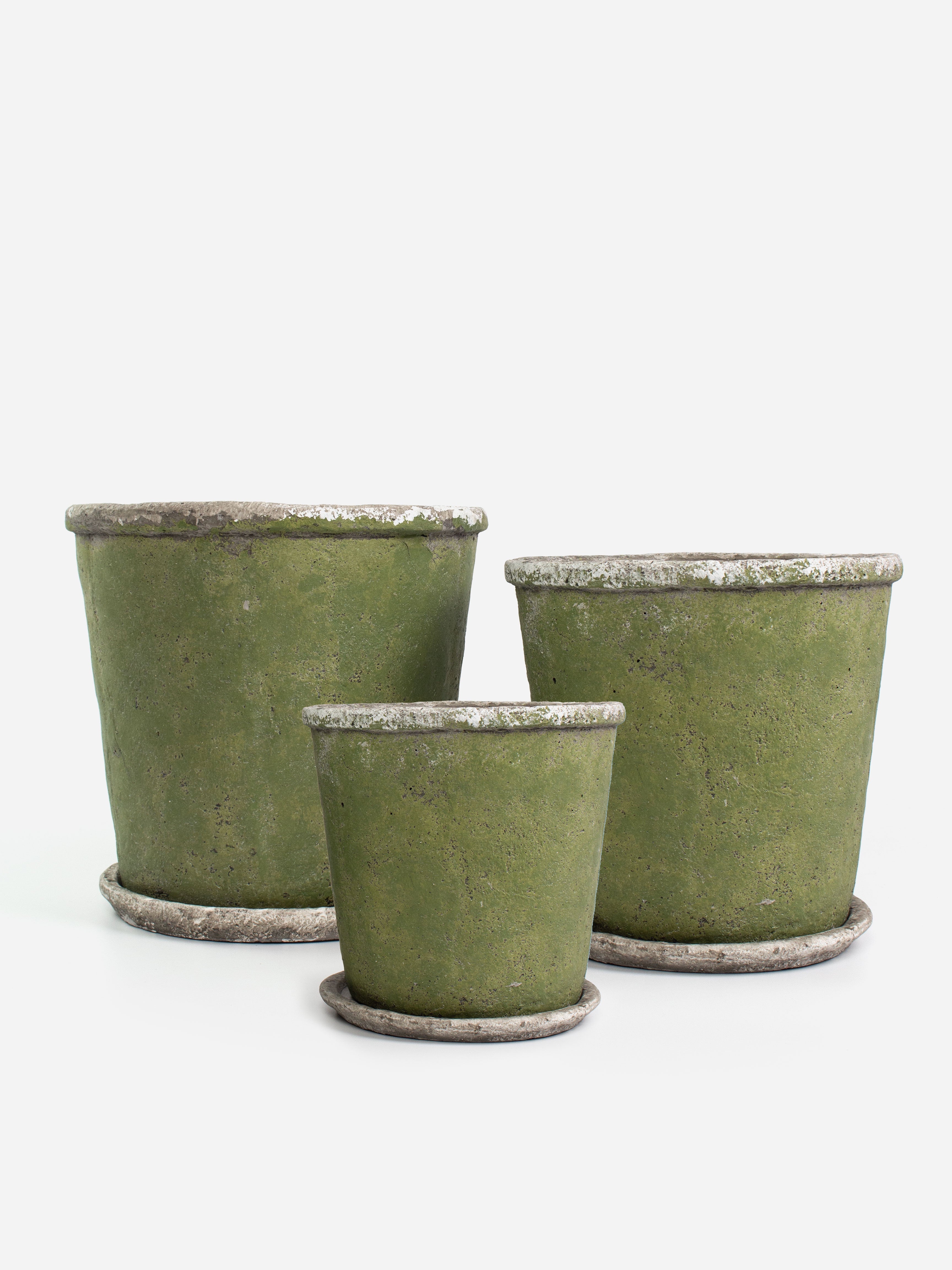 Evergreen Plant Pot & Saucer