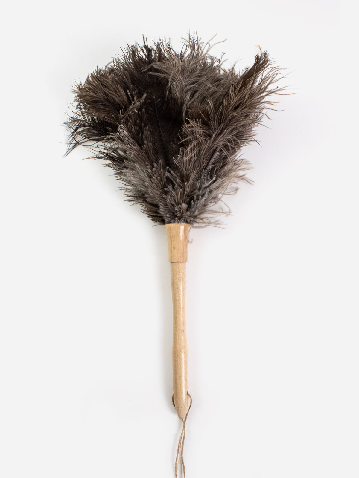 Feather Duster