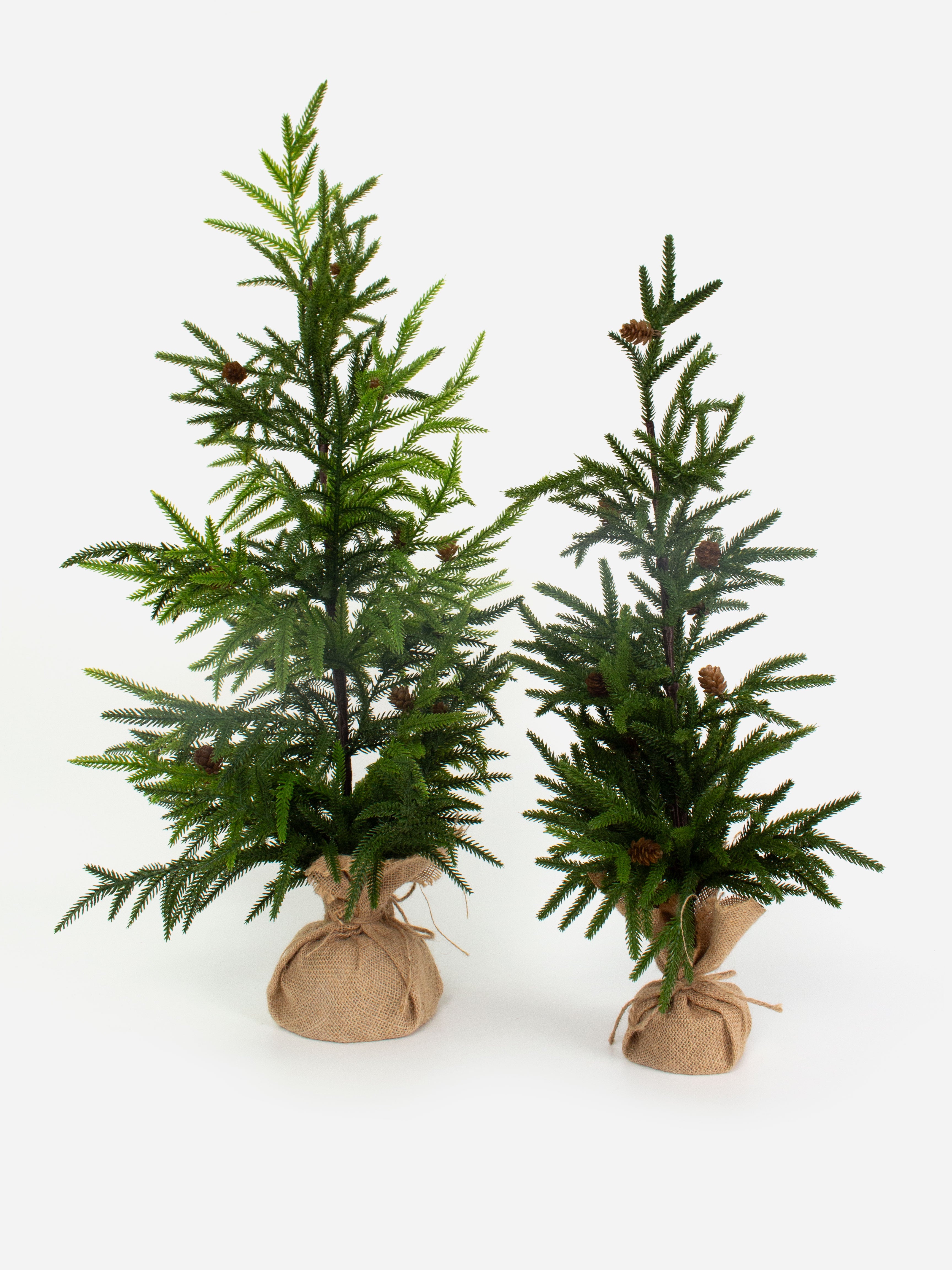 Fir Potted Tree