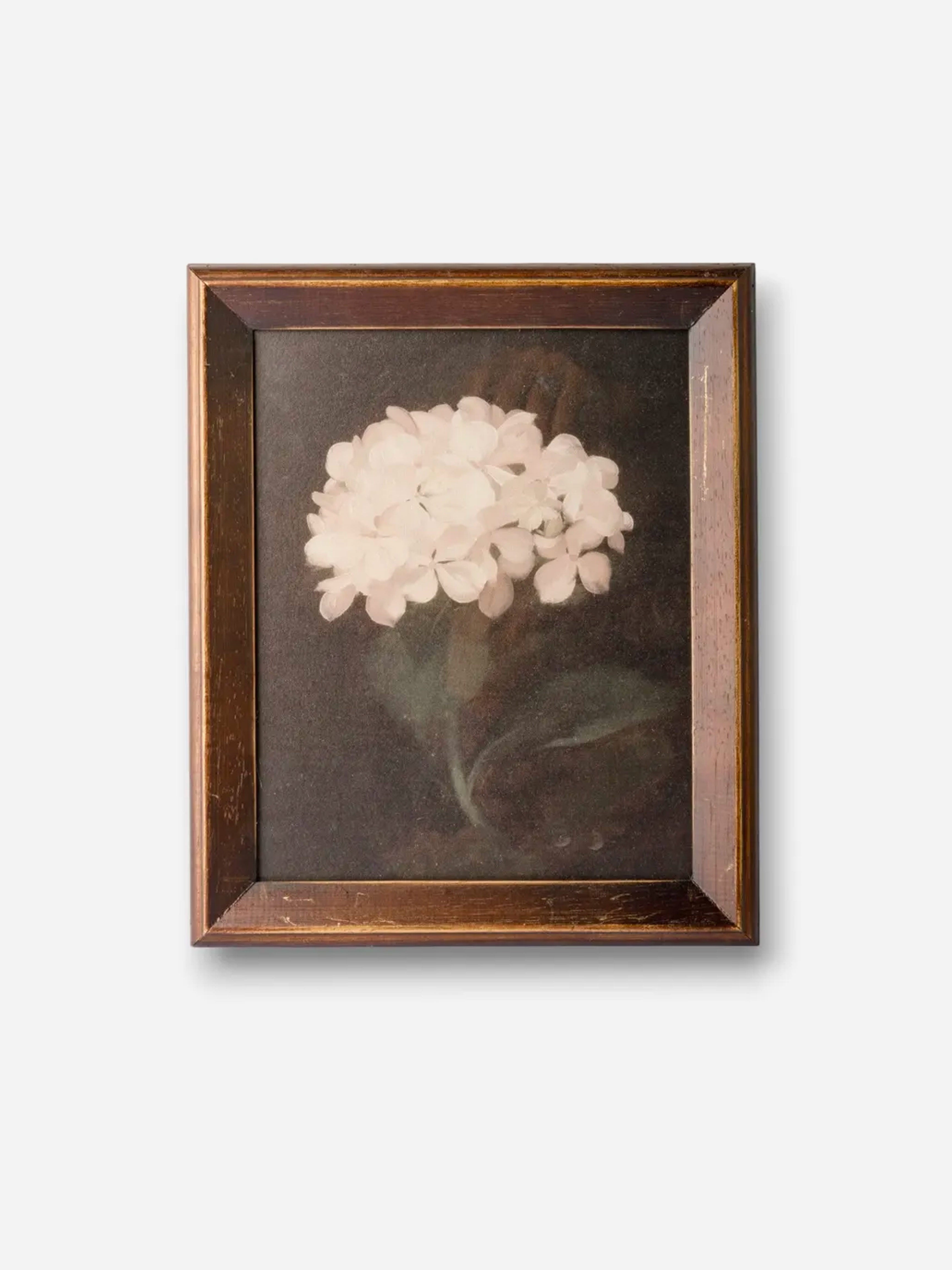 Hydrangea Wall Art