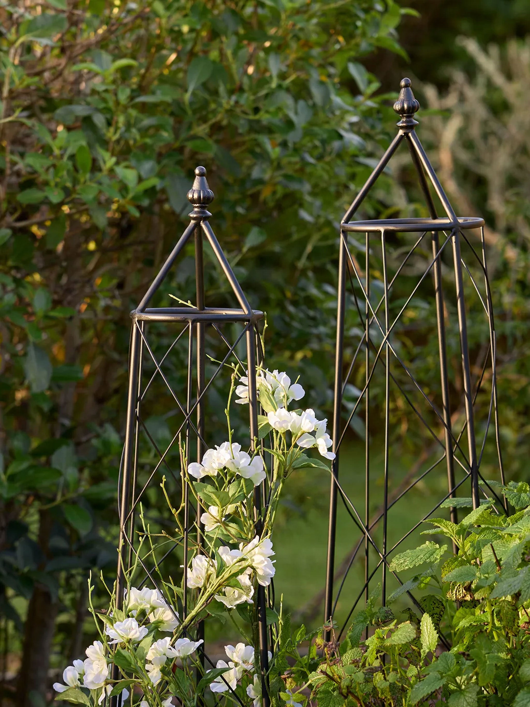 Ivy Plant Trellis Set