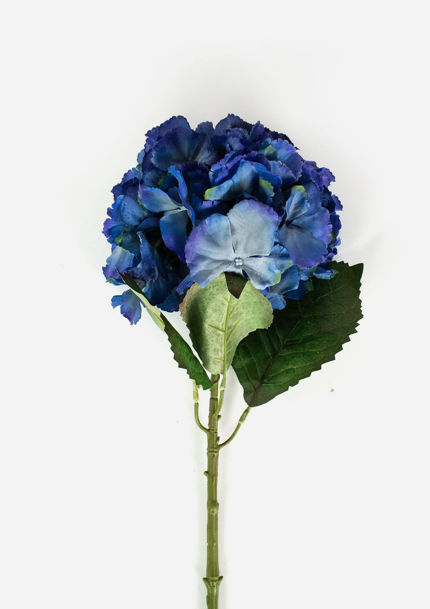 Large Ball Hydrangea