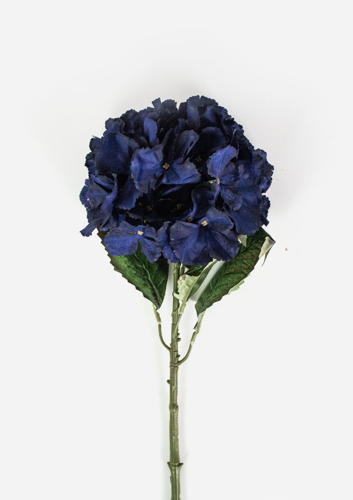 Large Ball Hydrangea