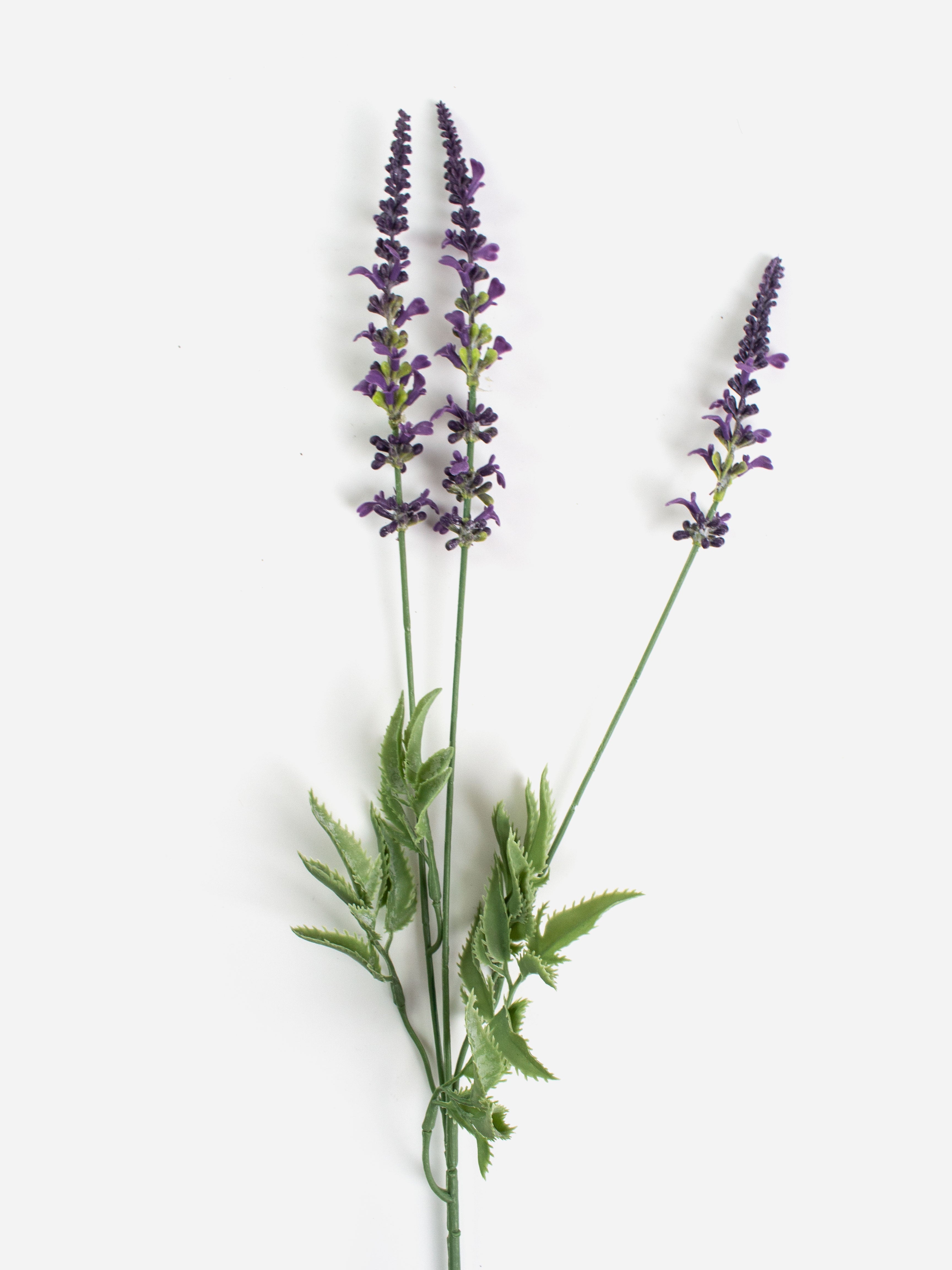 Lavender Spray