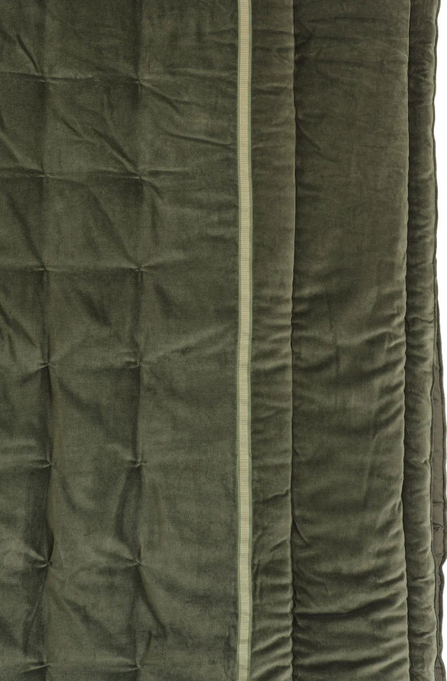Luchesi Olive Comforter