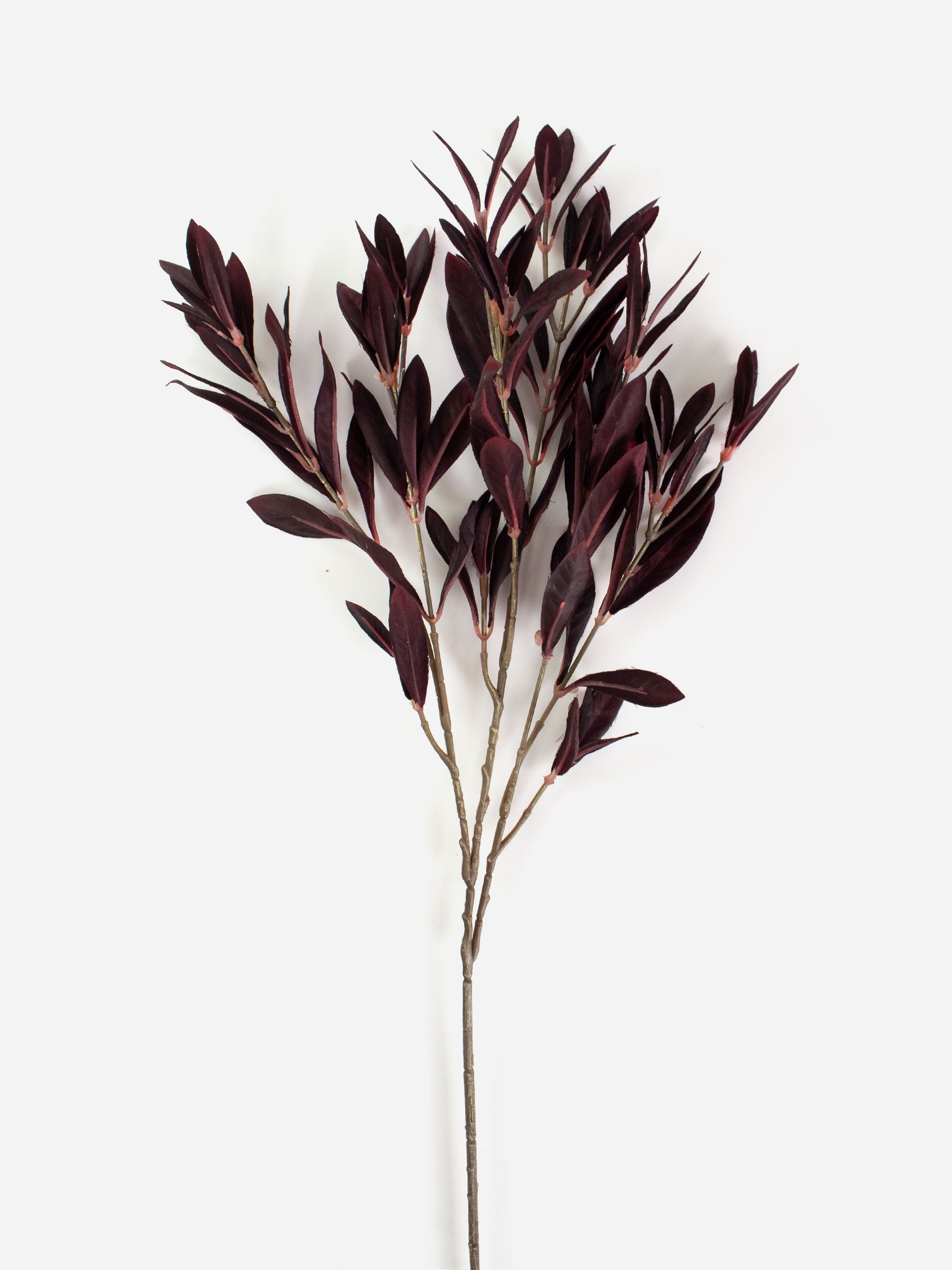 Lucia Olive Leaf Spray