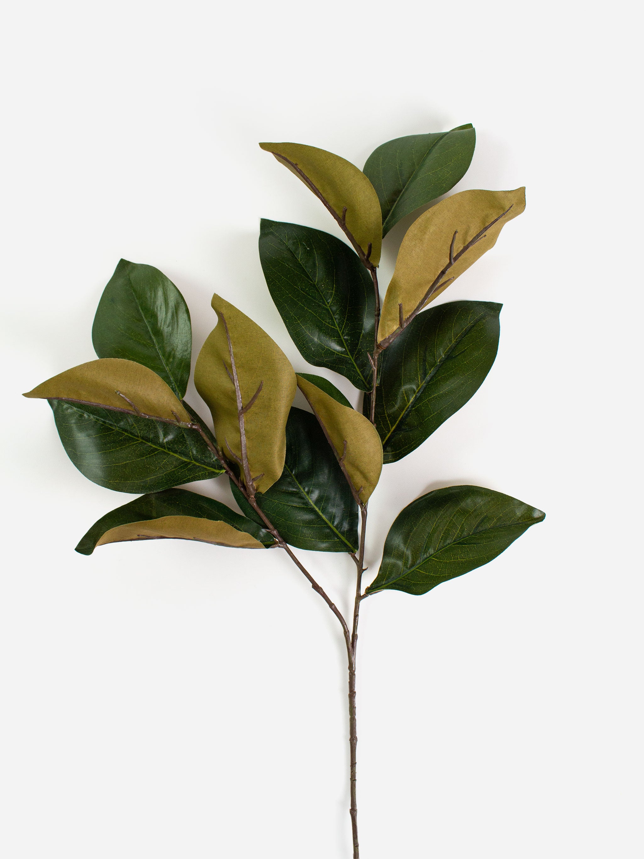 Magnolia Leaf Spray Green