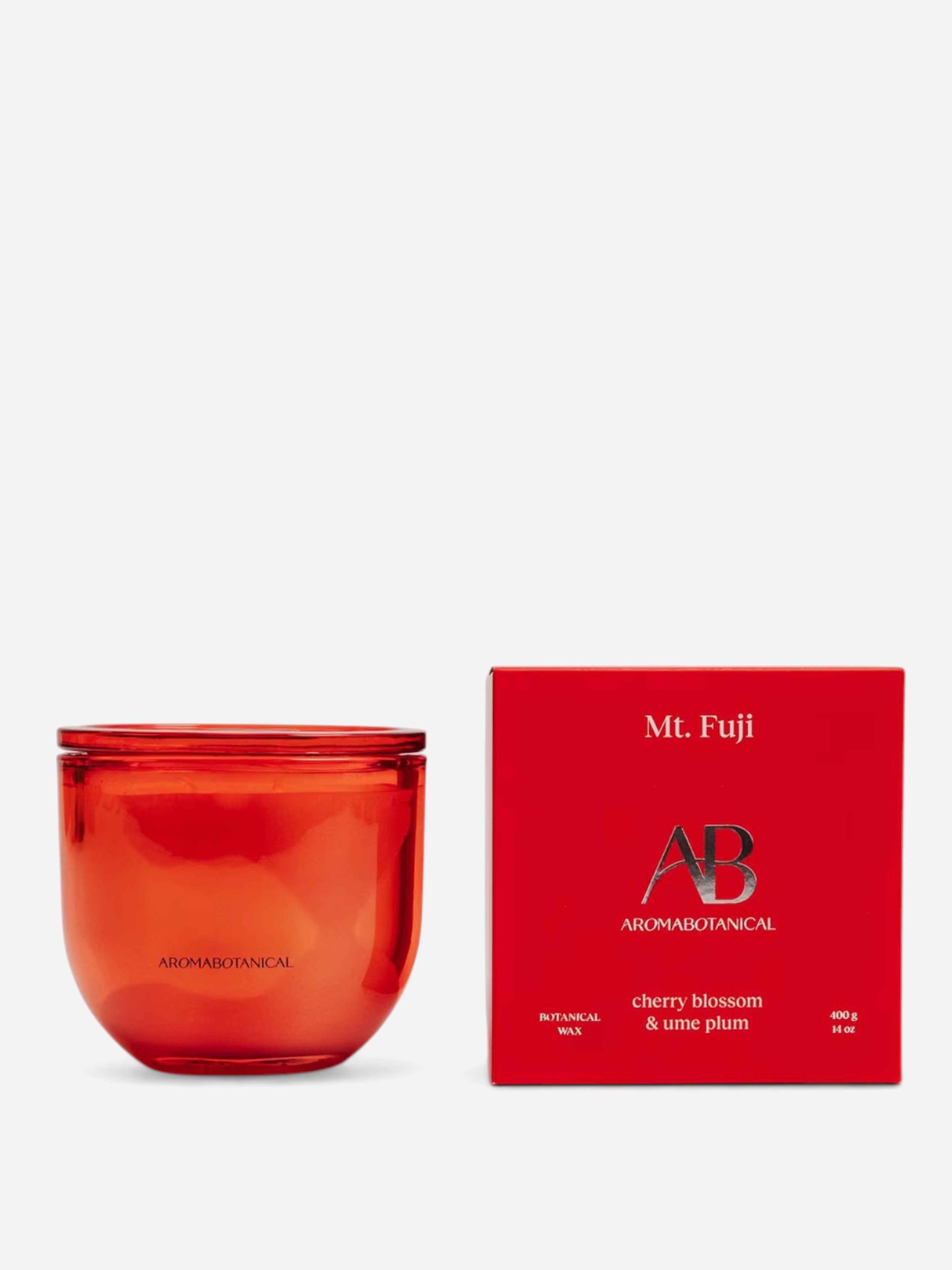Mt Fuji Candle