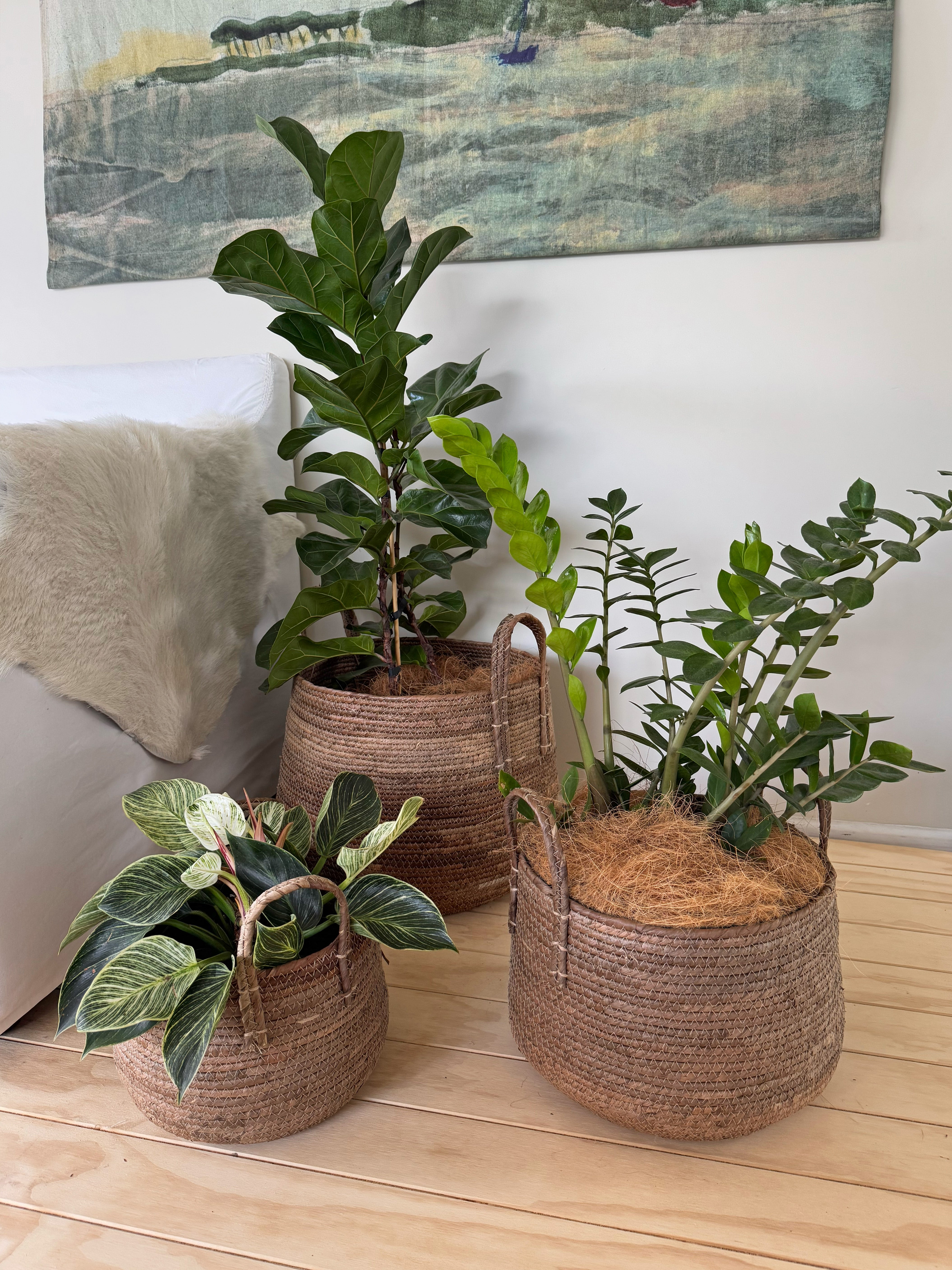 Nala Handled Planter Basket