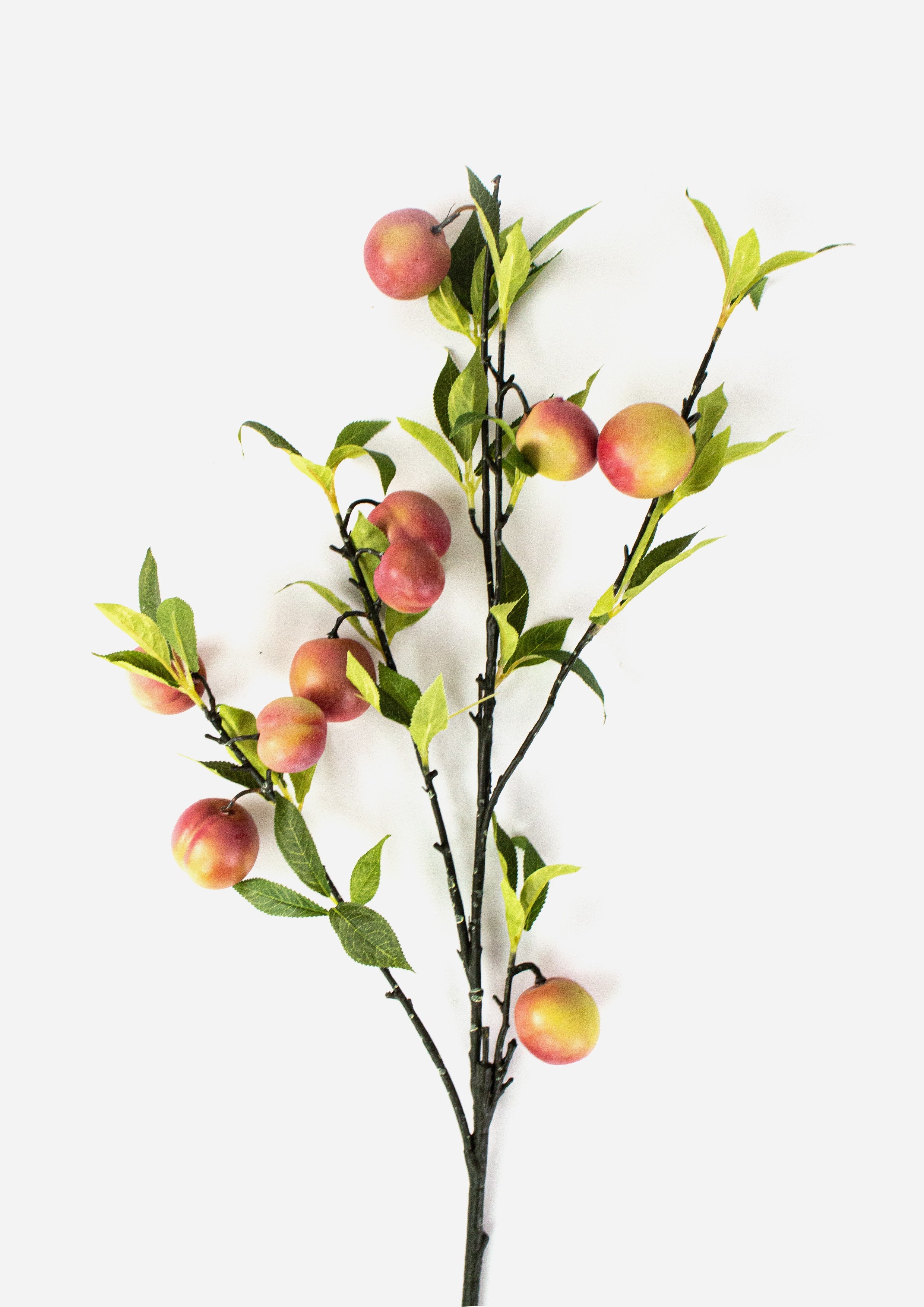 Nectarine Branch