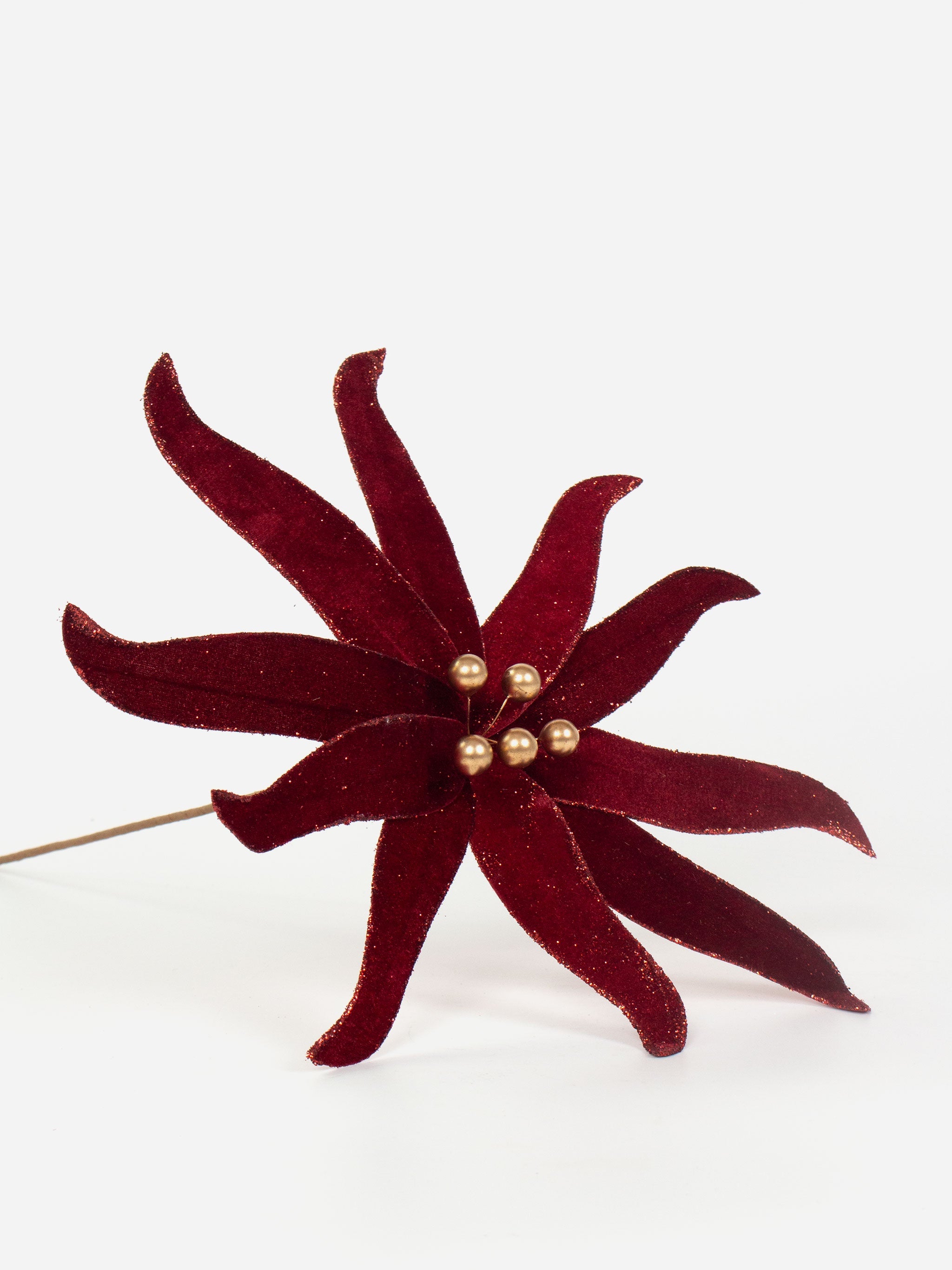 Octopus Burgundy Poinsettia Pick