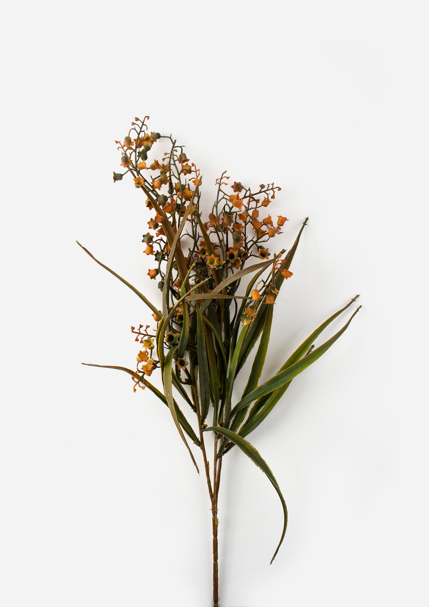 Oleaster Branch Stem 70cm