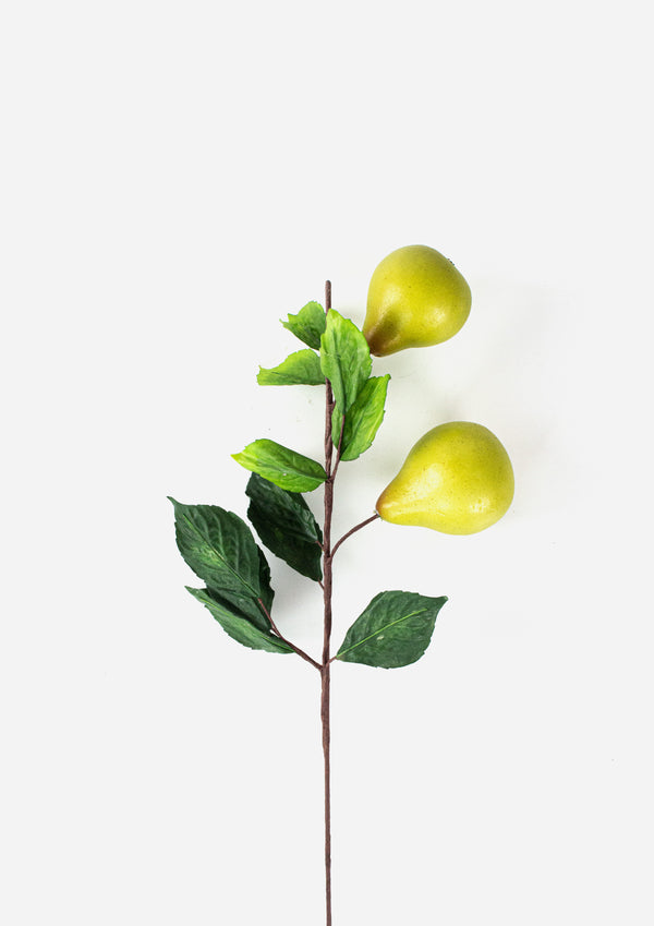 Pear Medium Branch