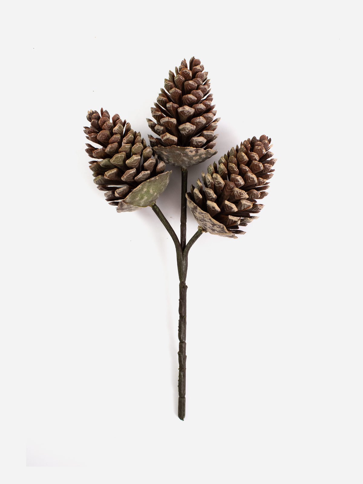 Pinecone Pick