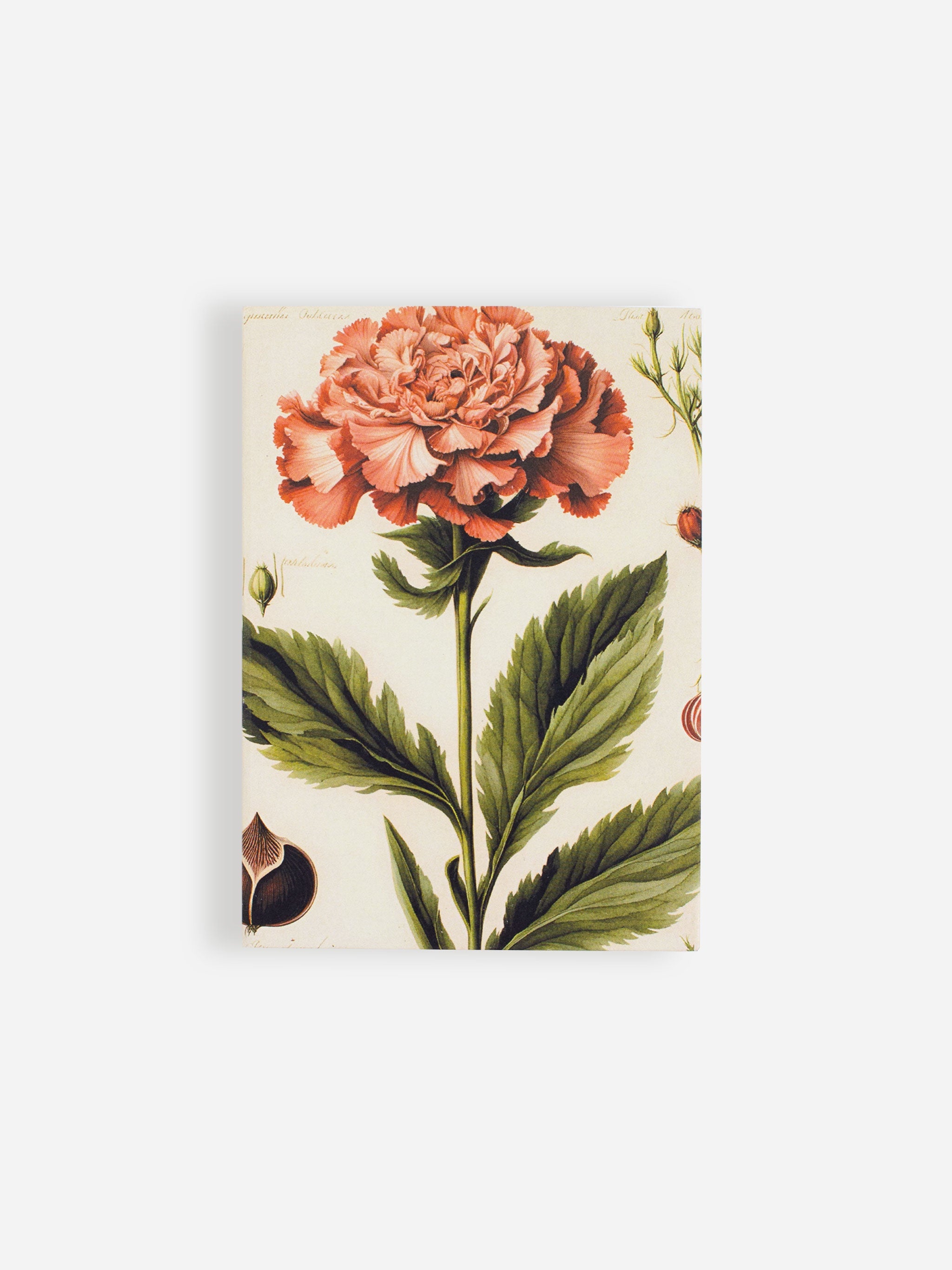 Pink Carnation Jotter Pad