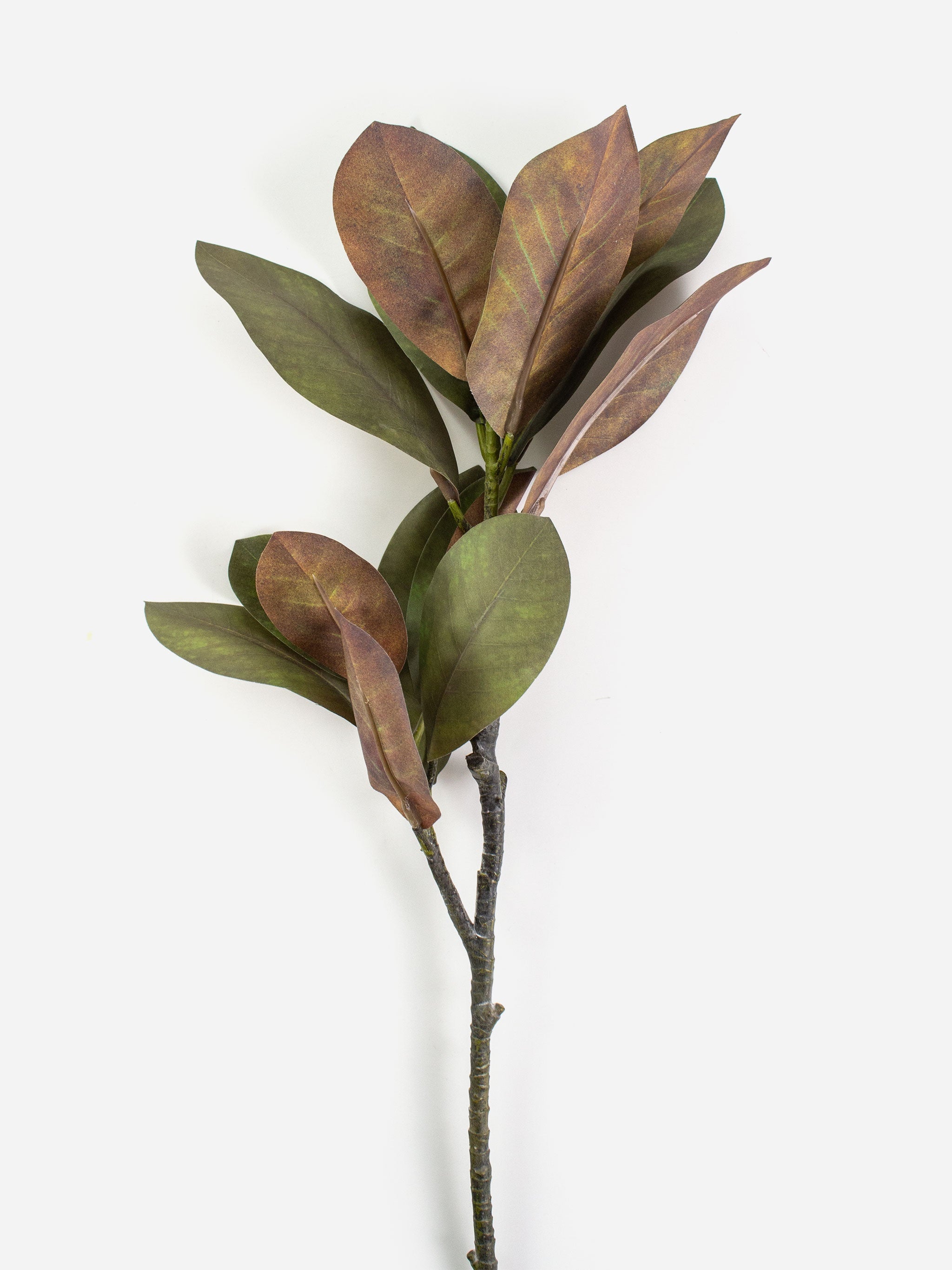 Rogue Long Magnolia Pick