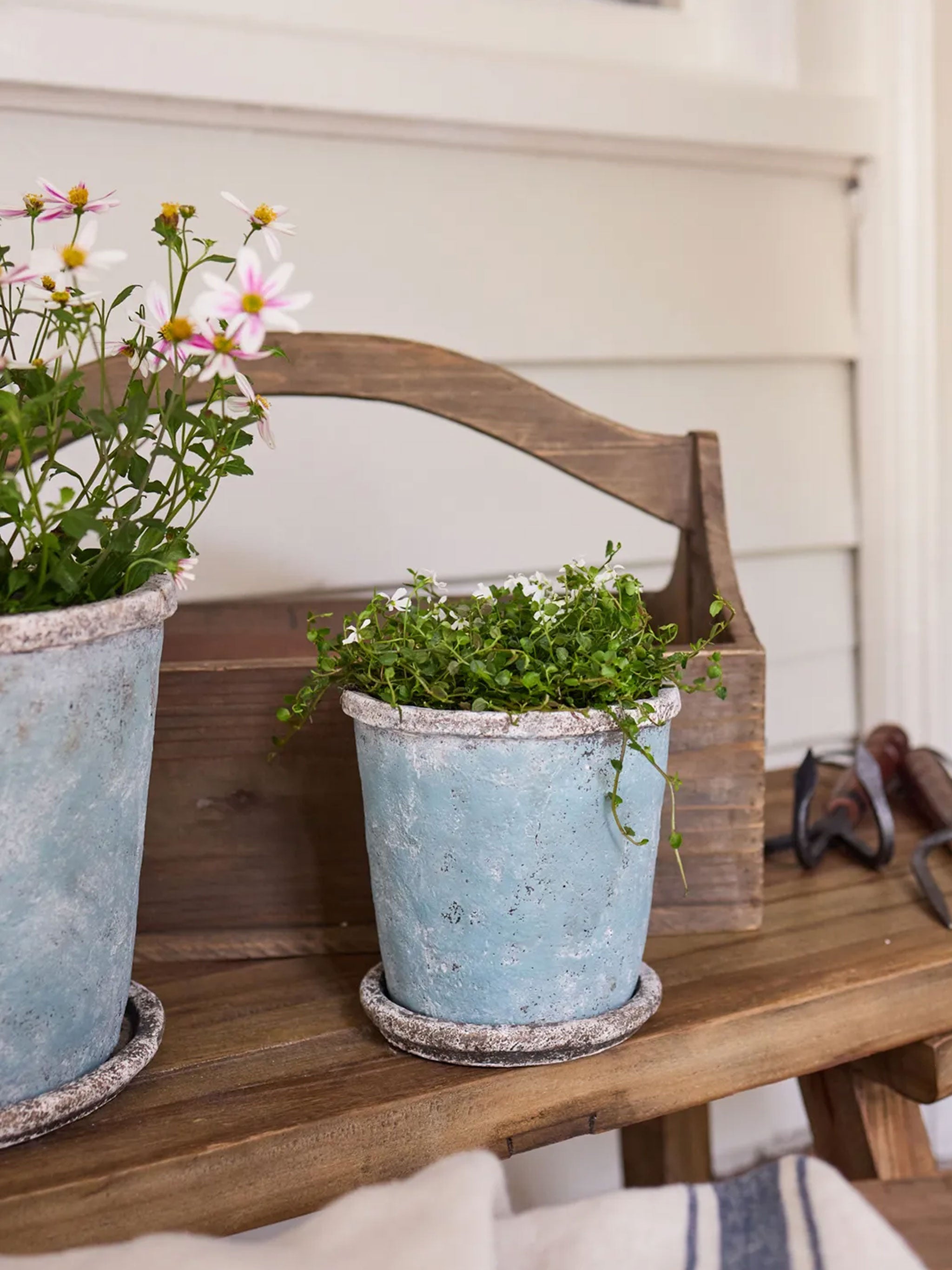 Sea Blue Plant Pot & Saucer