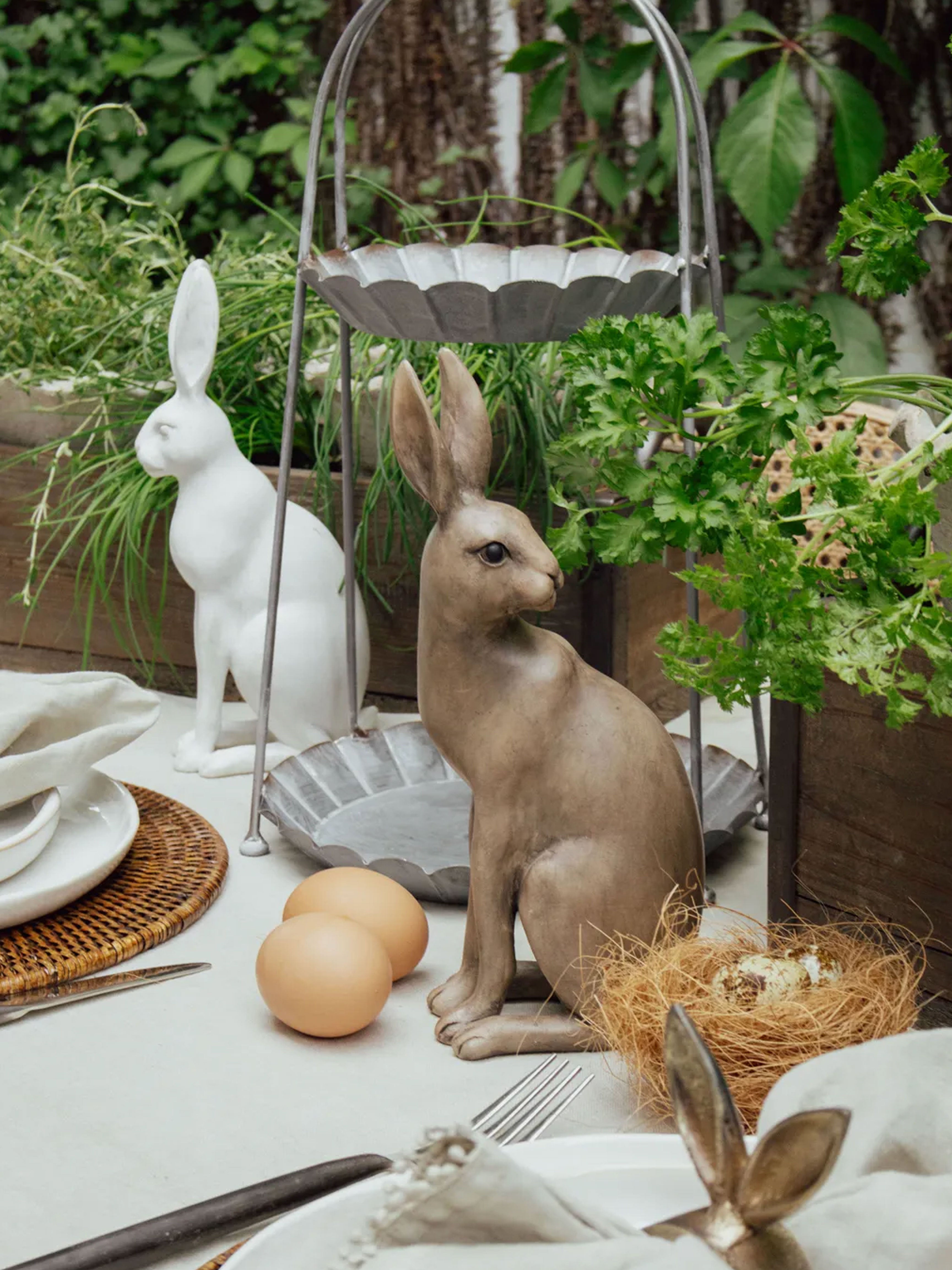 Small Harold the Hare Turning