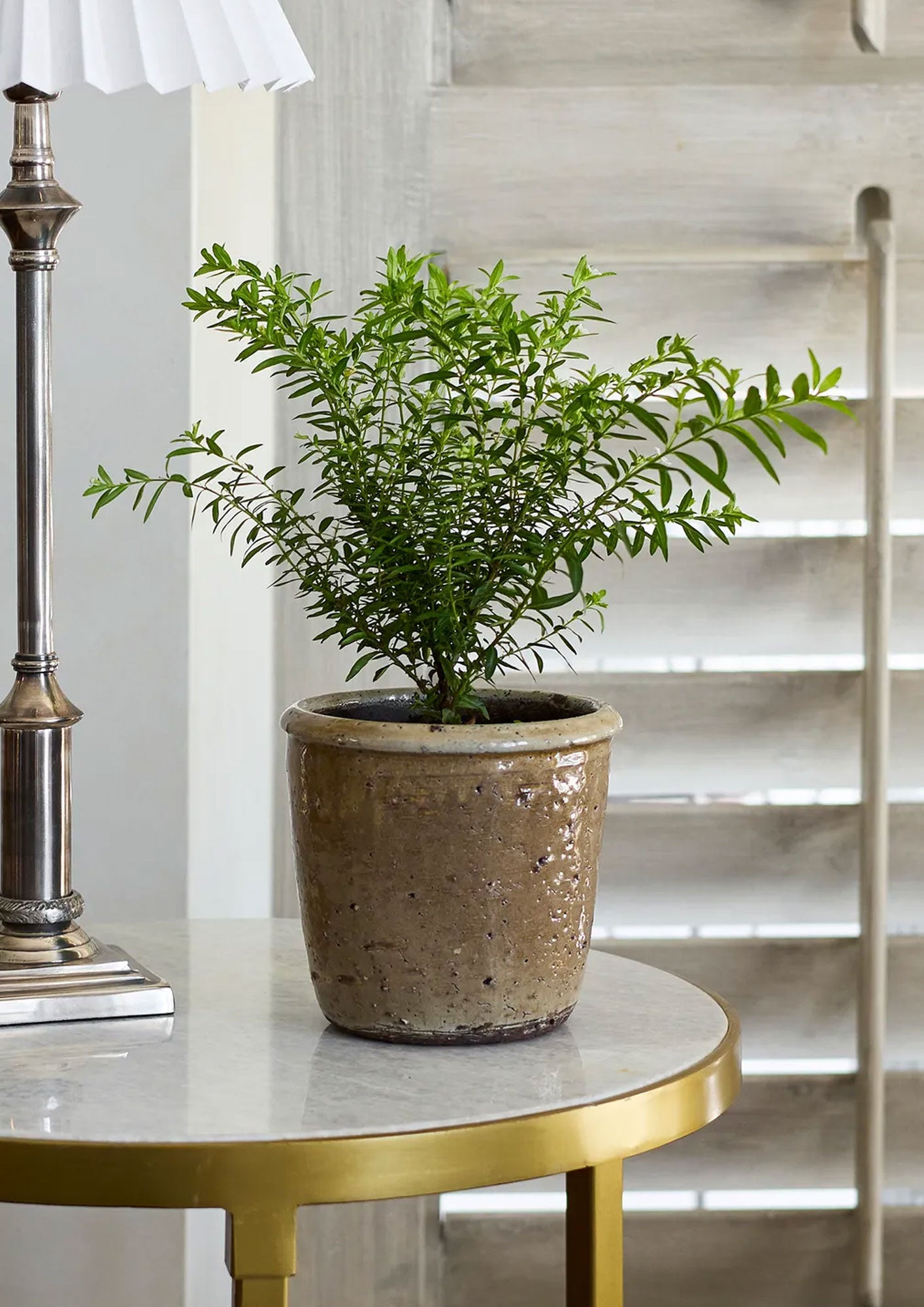 Stone Glazed Terracotta Pot