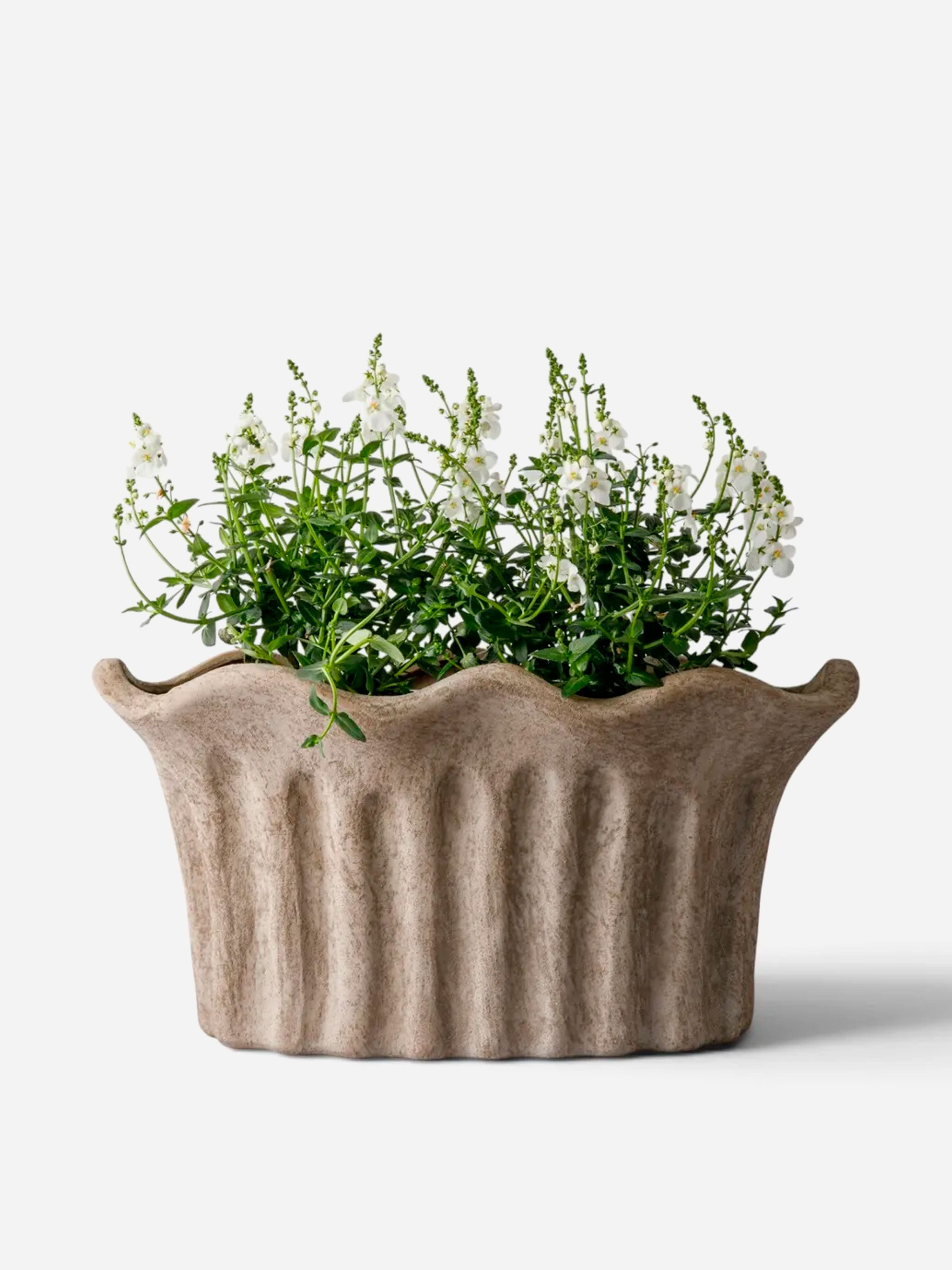 Terra Oval Fluted Planter