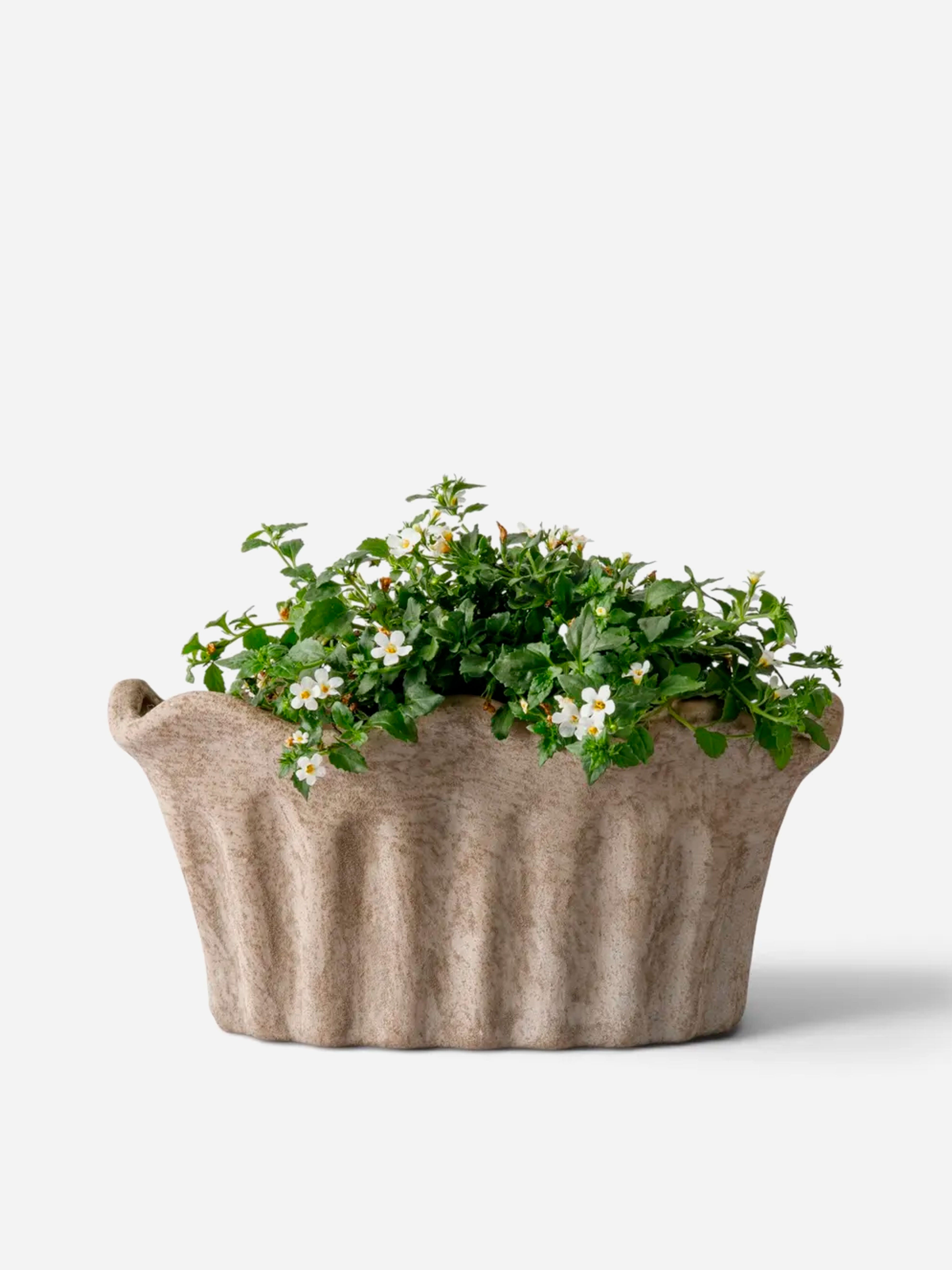 Terra Oval Fluted Planter