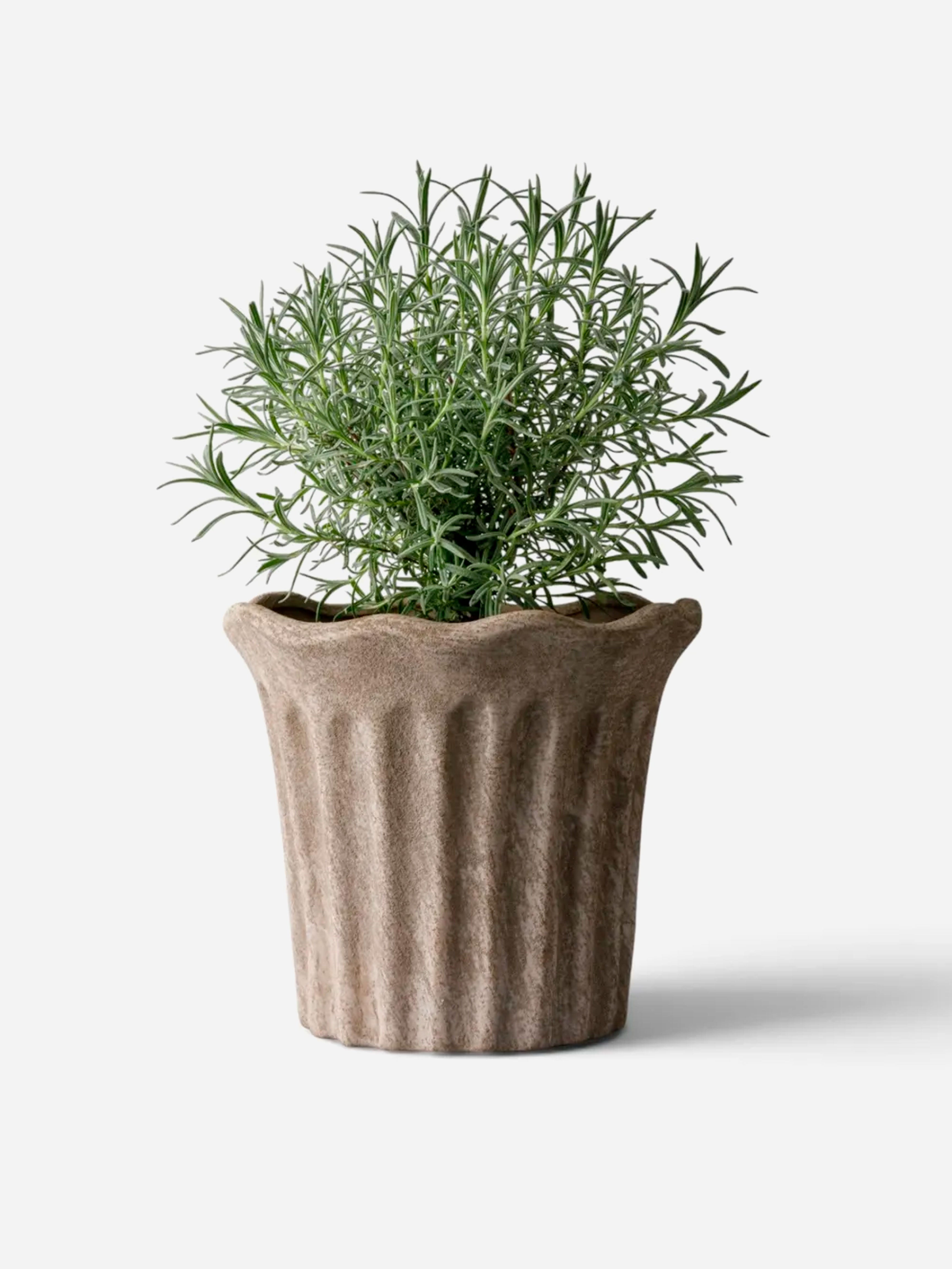 Terra Fluted Planter