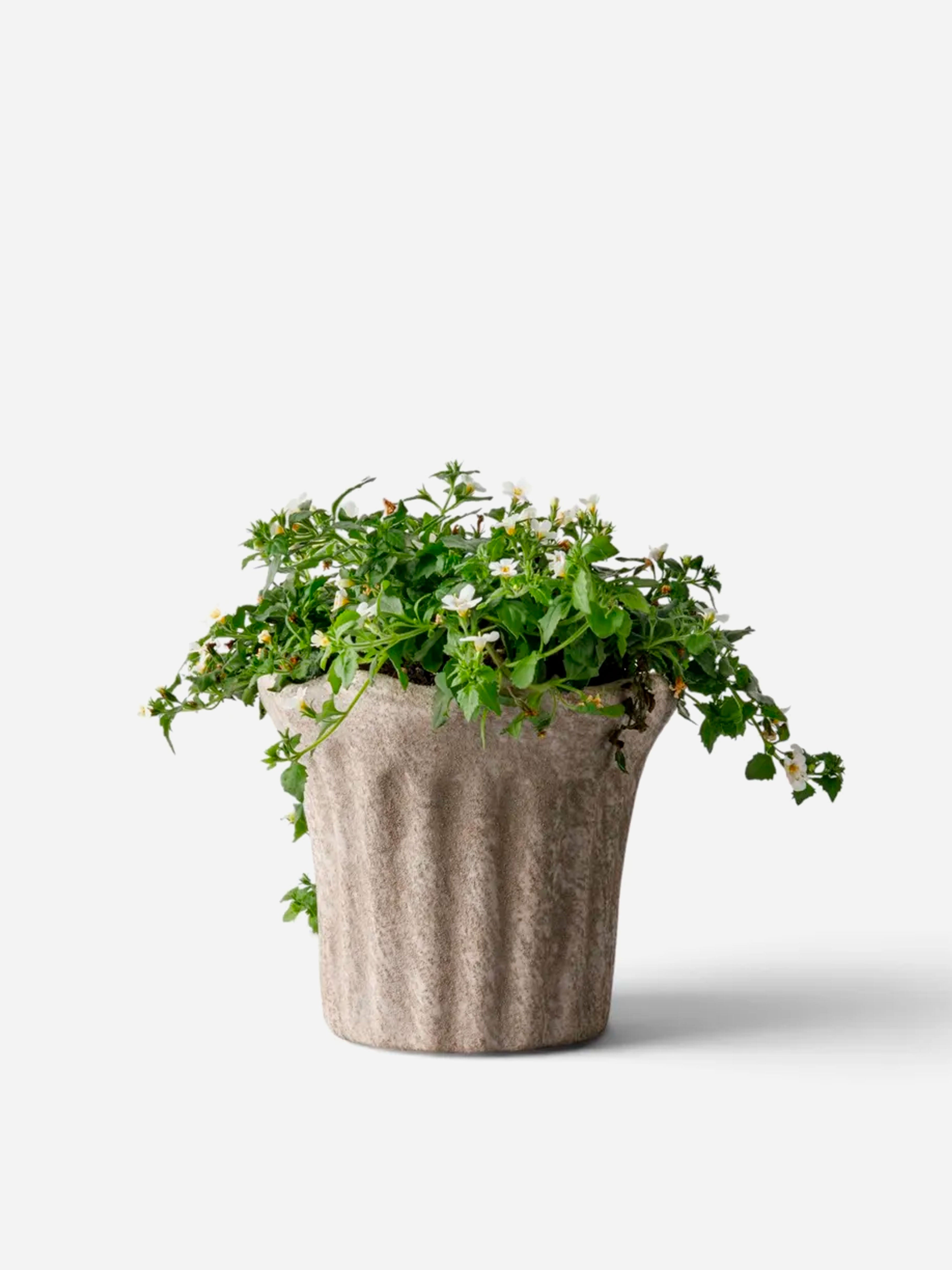 Terra Fluted Planter