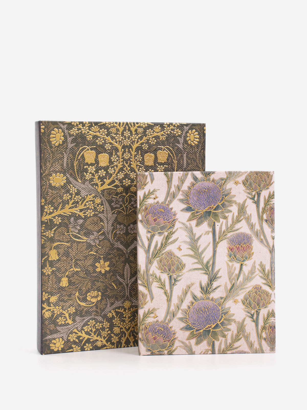 Thistle & Thorn Book Box Set