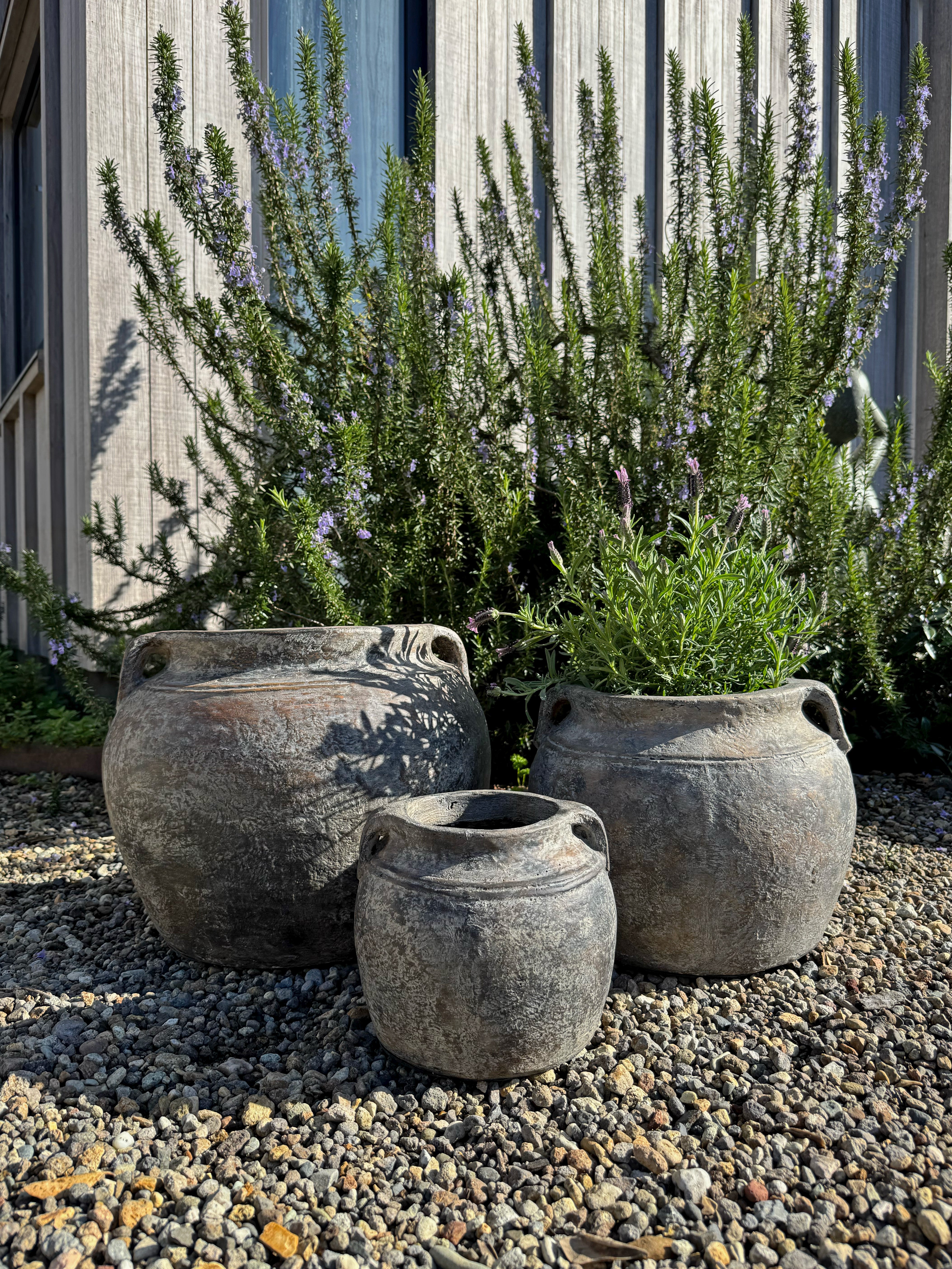 Sumatra Budi Pot