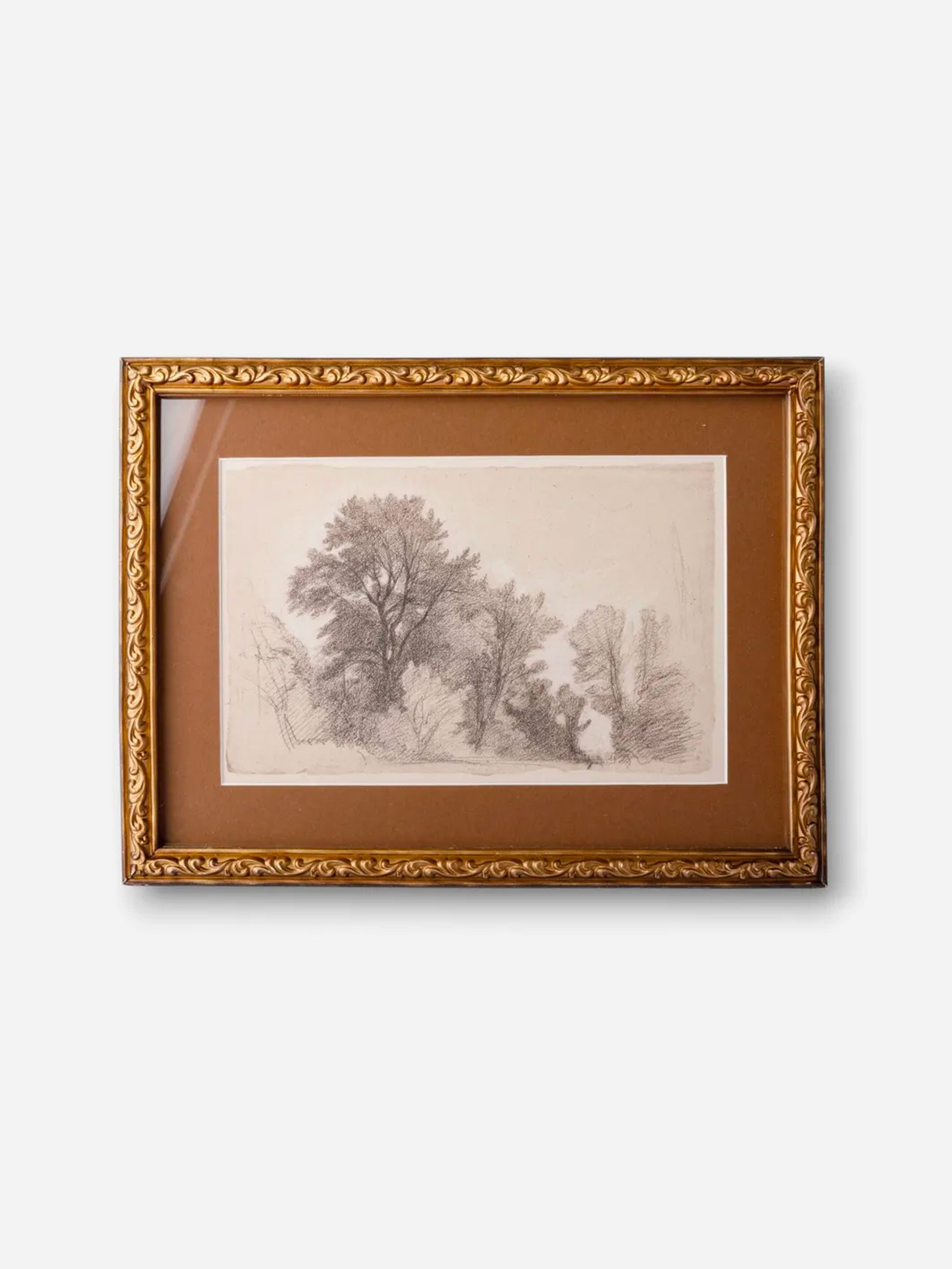 Vintage Glade Sketch Wall Art