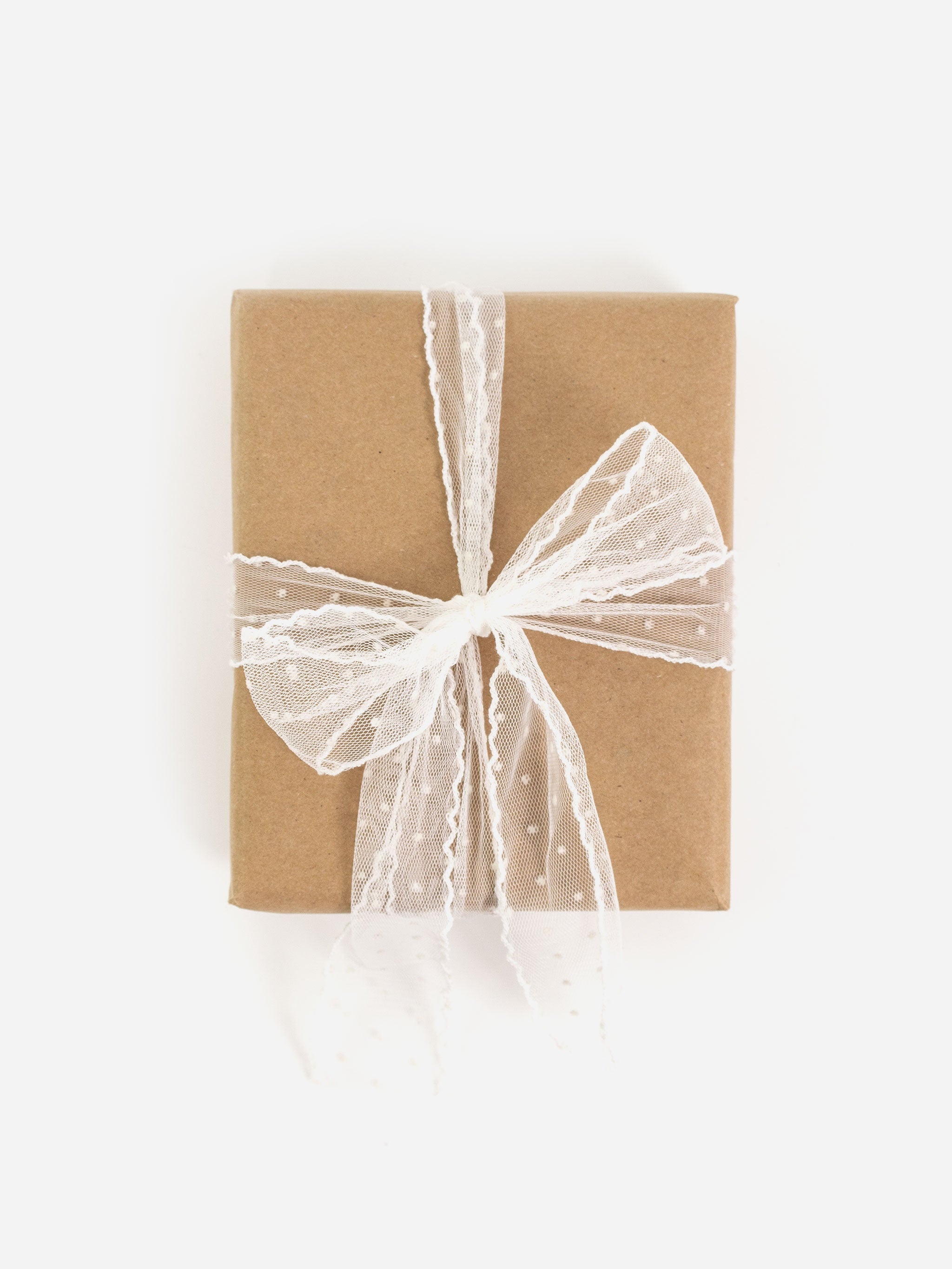 While Polka Dot Lace Ribbon