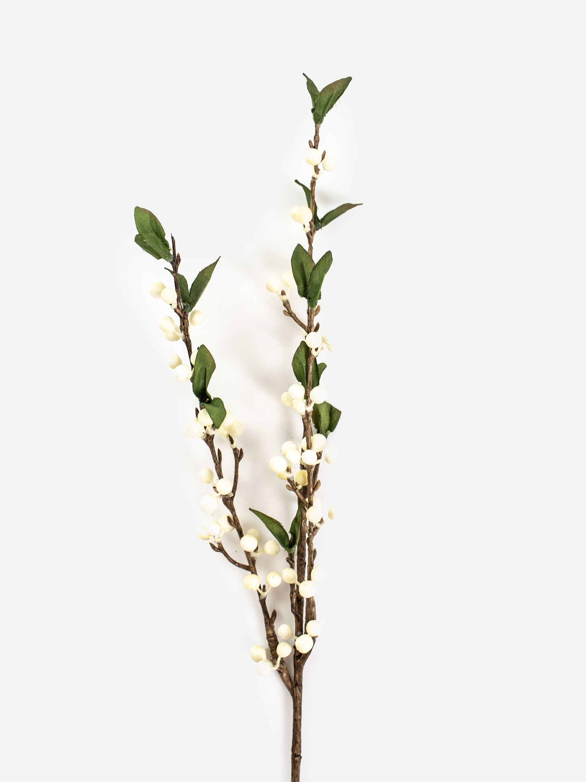 White Cranberry Spray