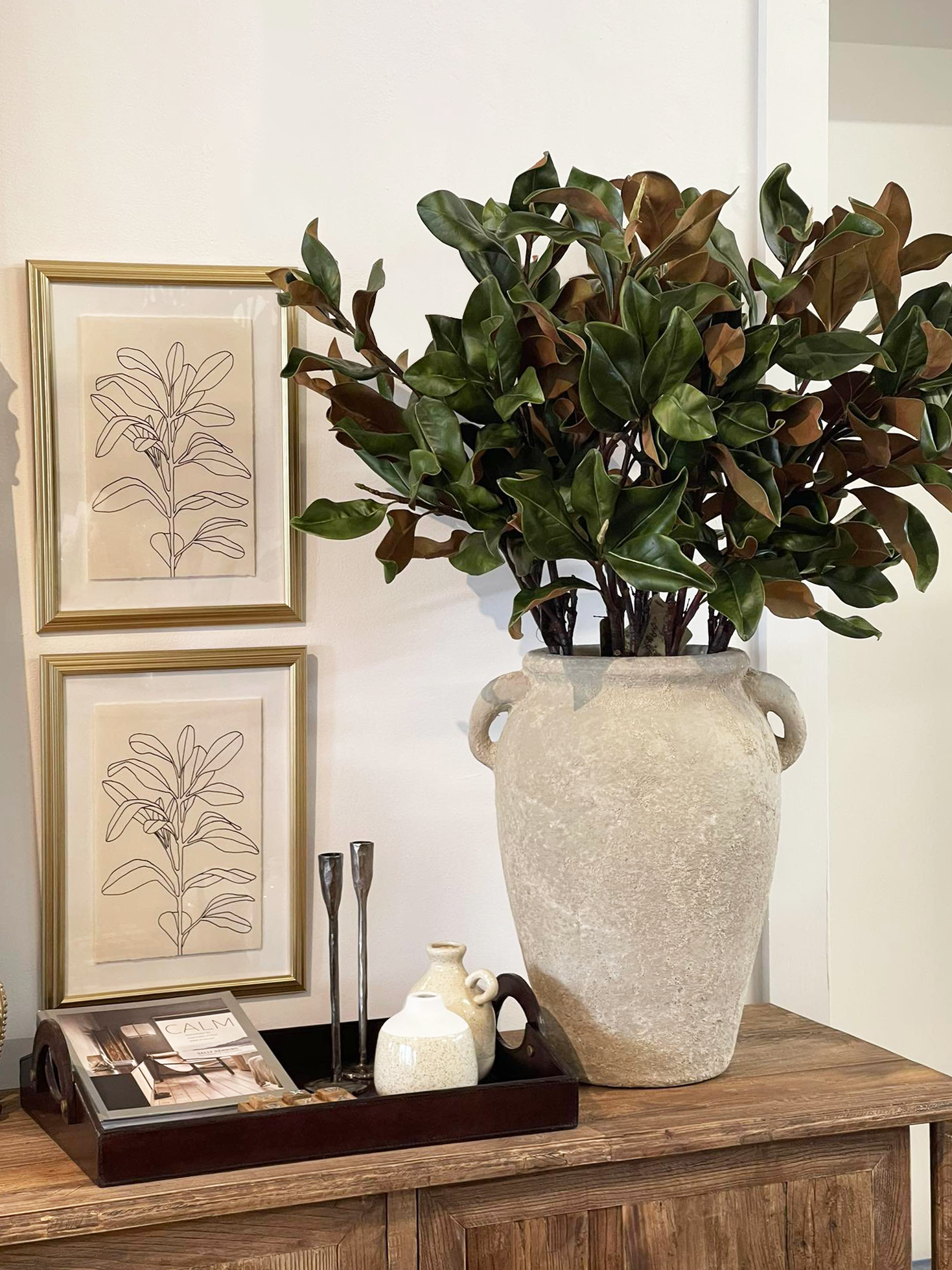 Giant Grandiflora Magnolia