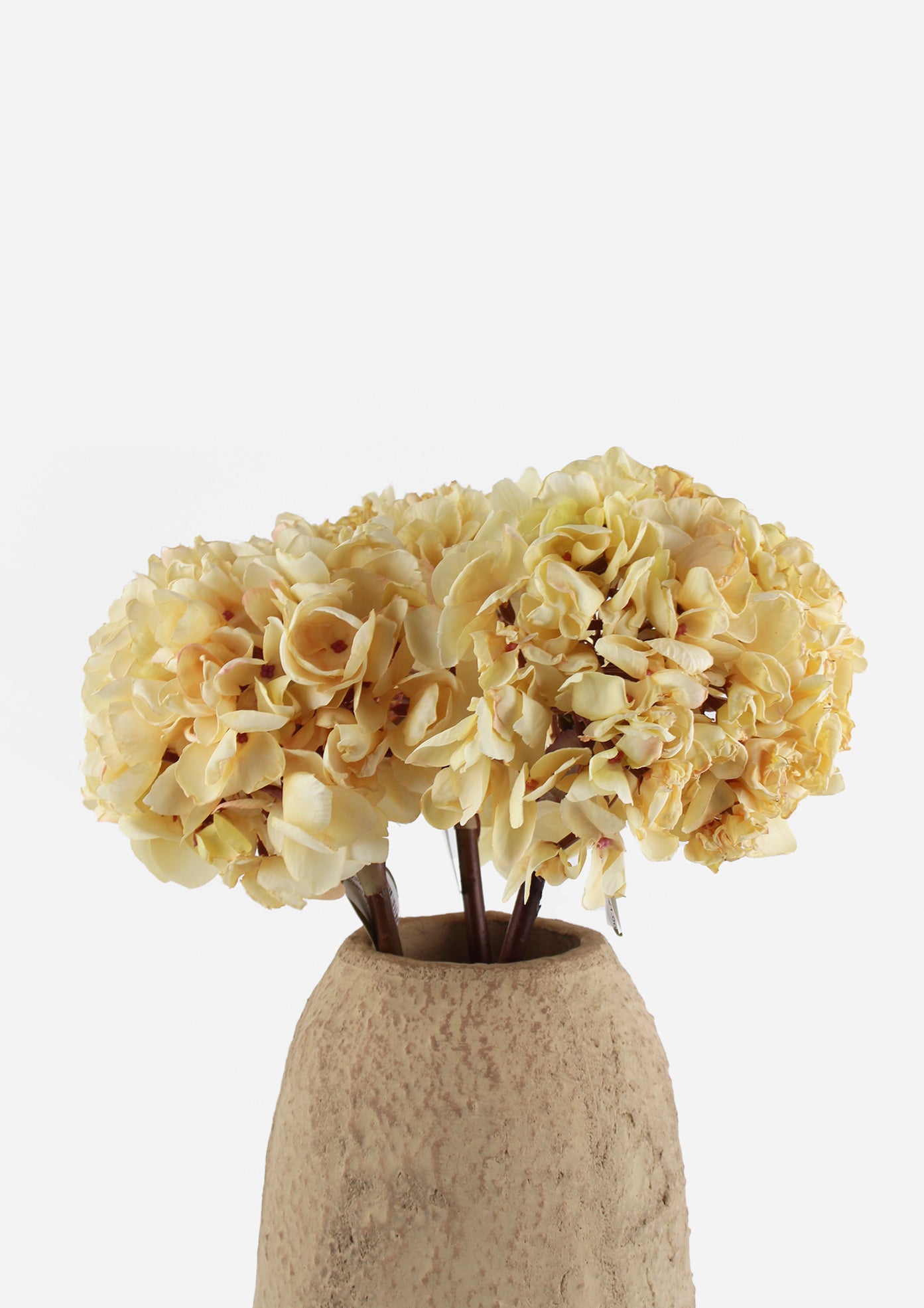 Dried Look Hydrangea