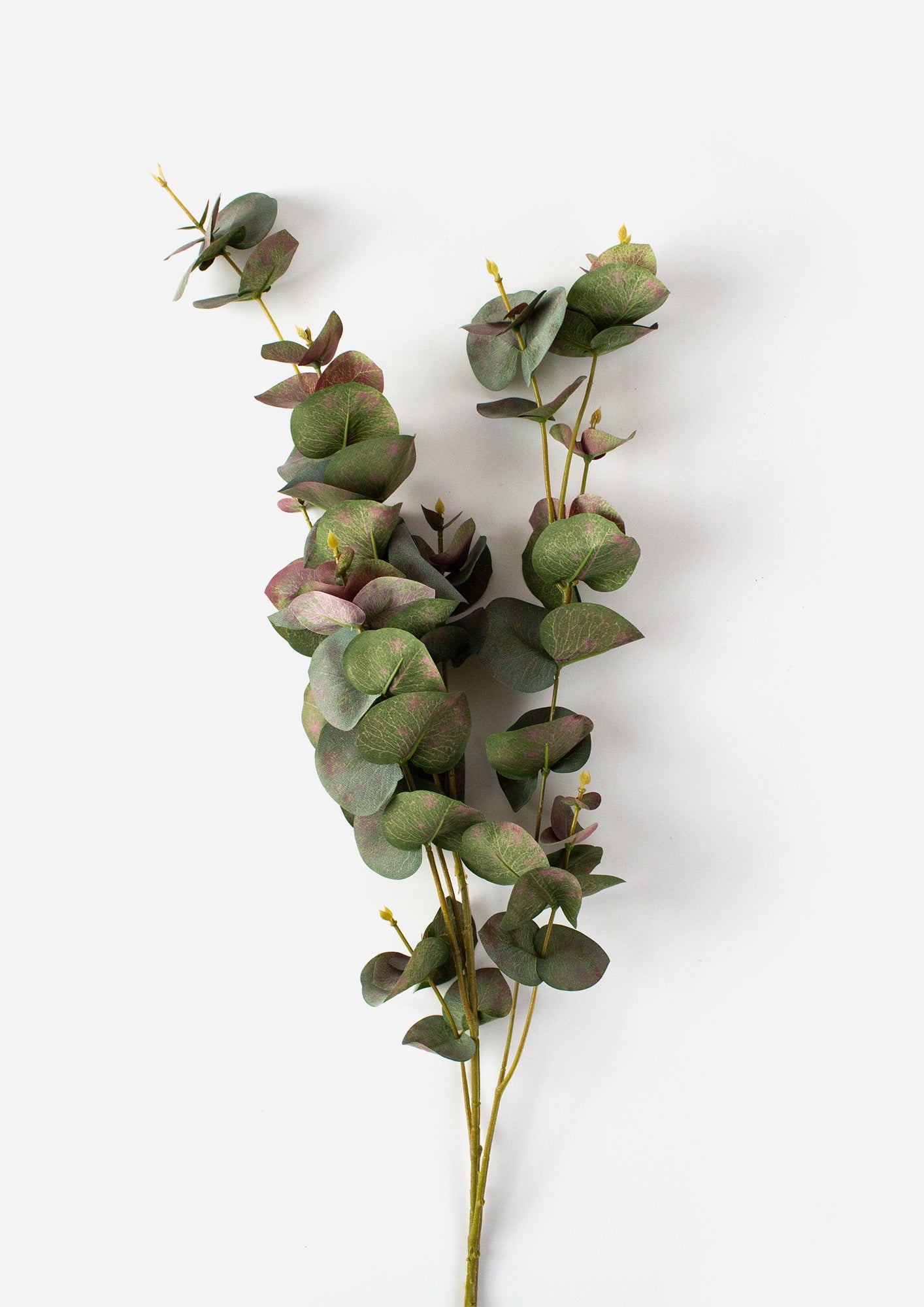 Eucalyptus Green Brown Spray