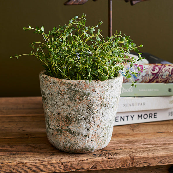 Verde Planter Pot