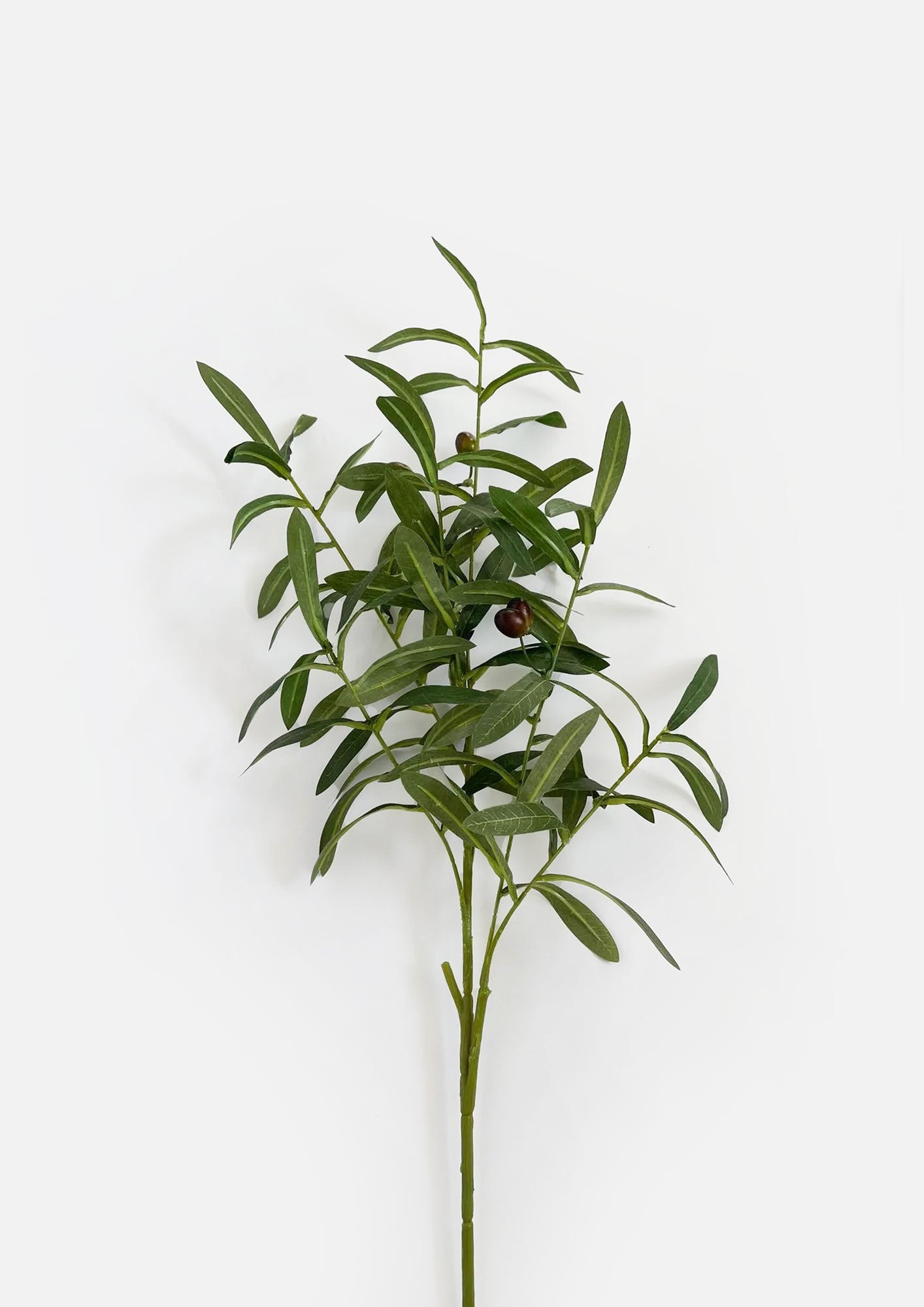 Olive Spray with Olives