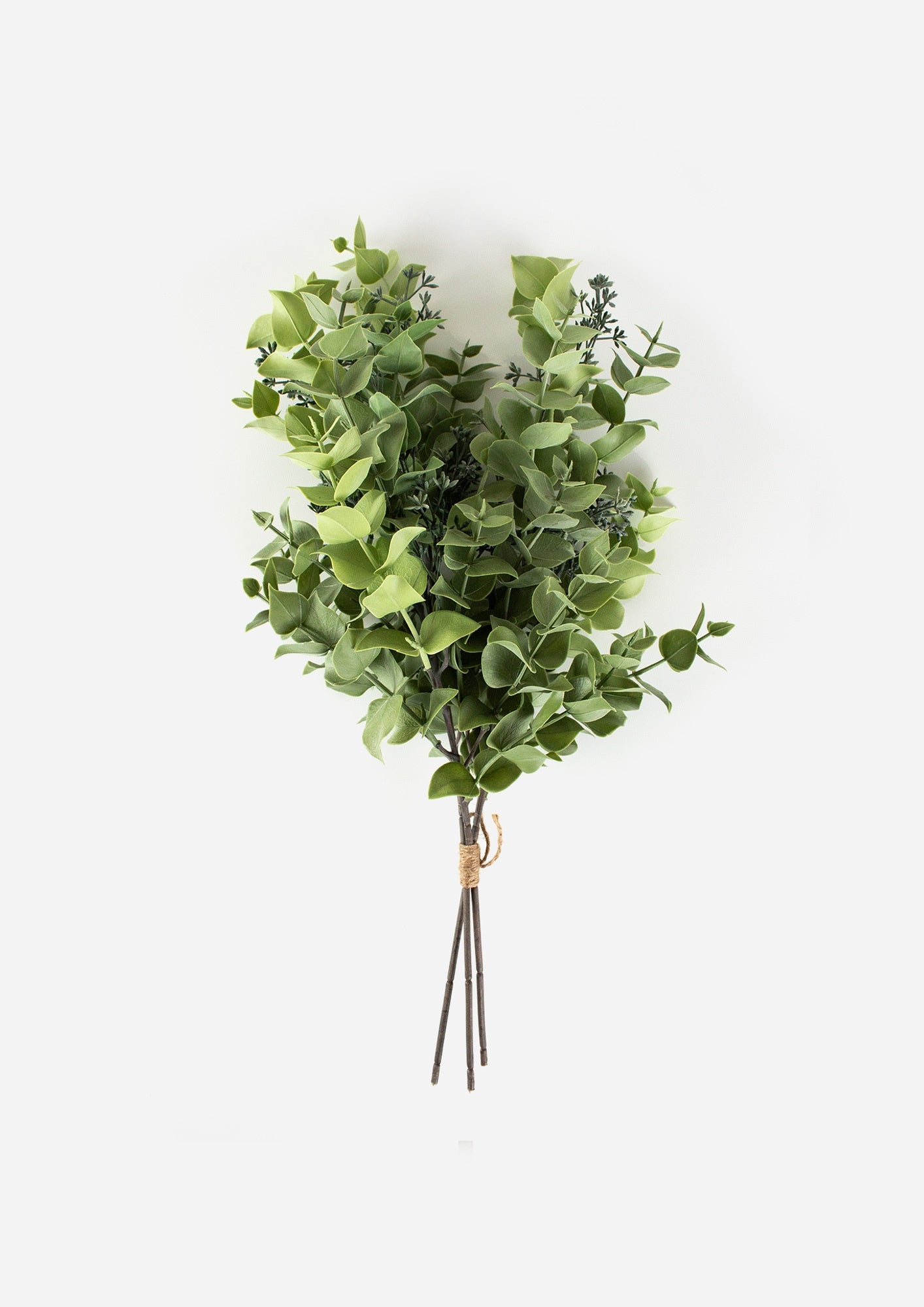 Seeded Eucalyptus Bundle